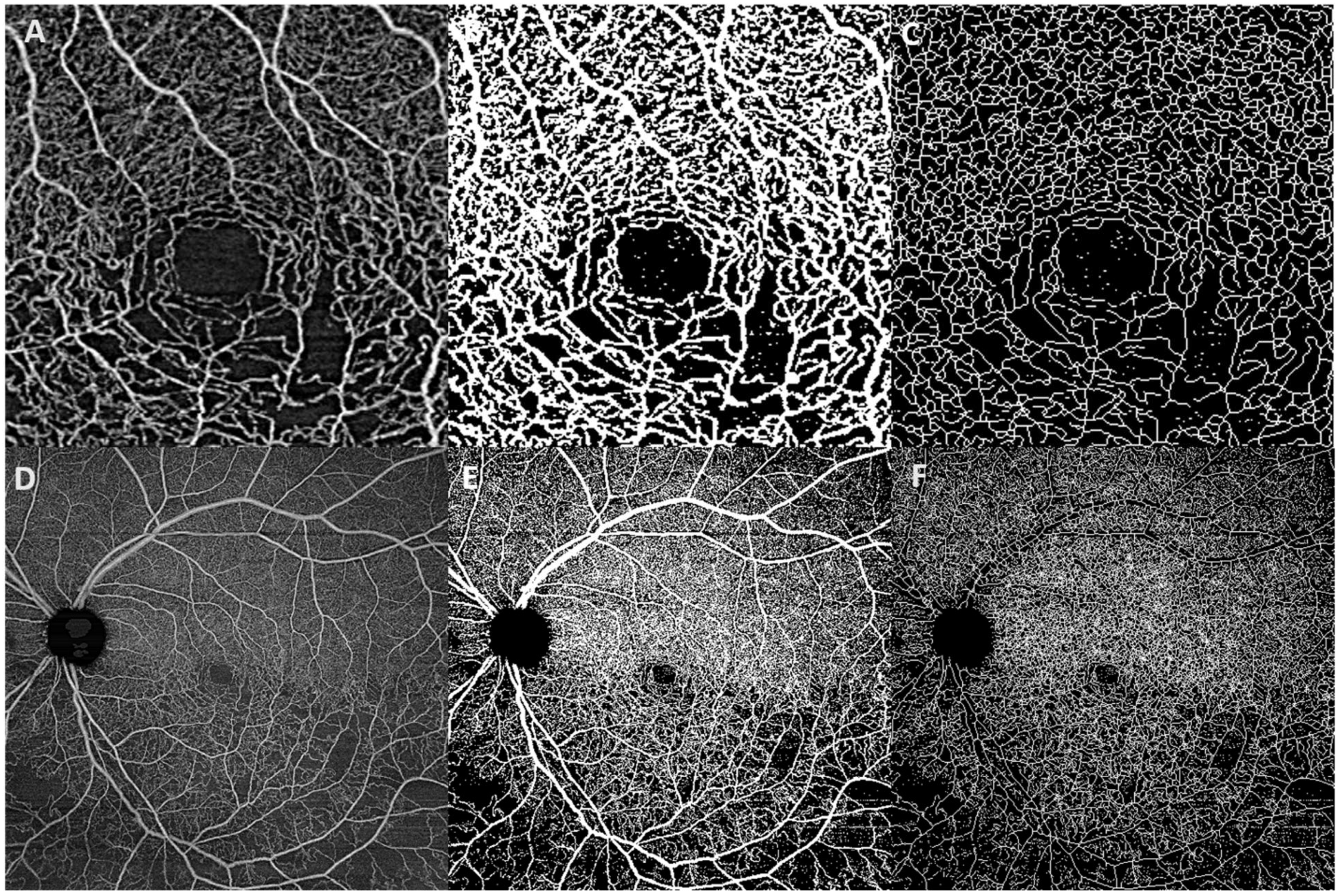 Jcm 11 02892 g001 Jcm 11 02892 g001