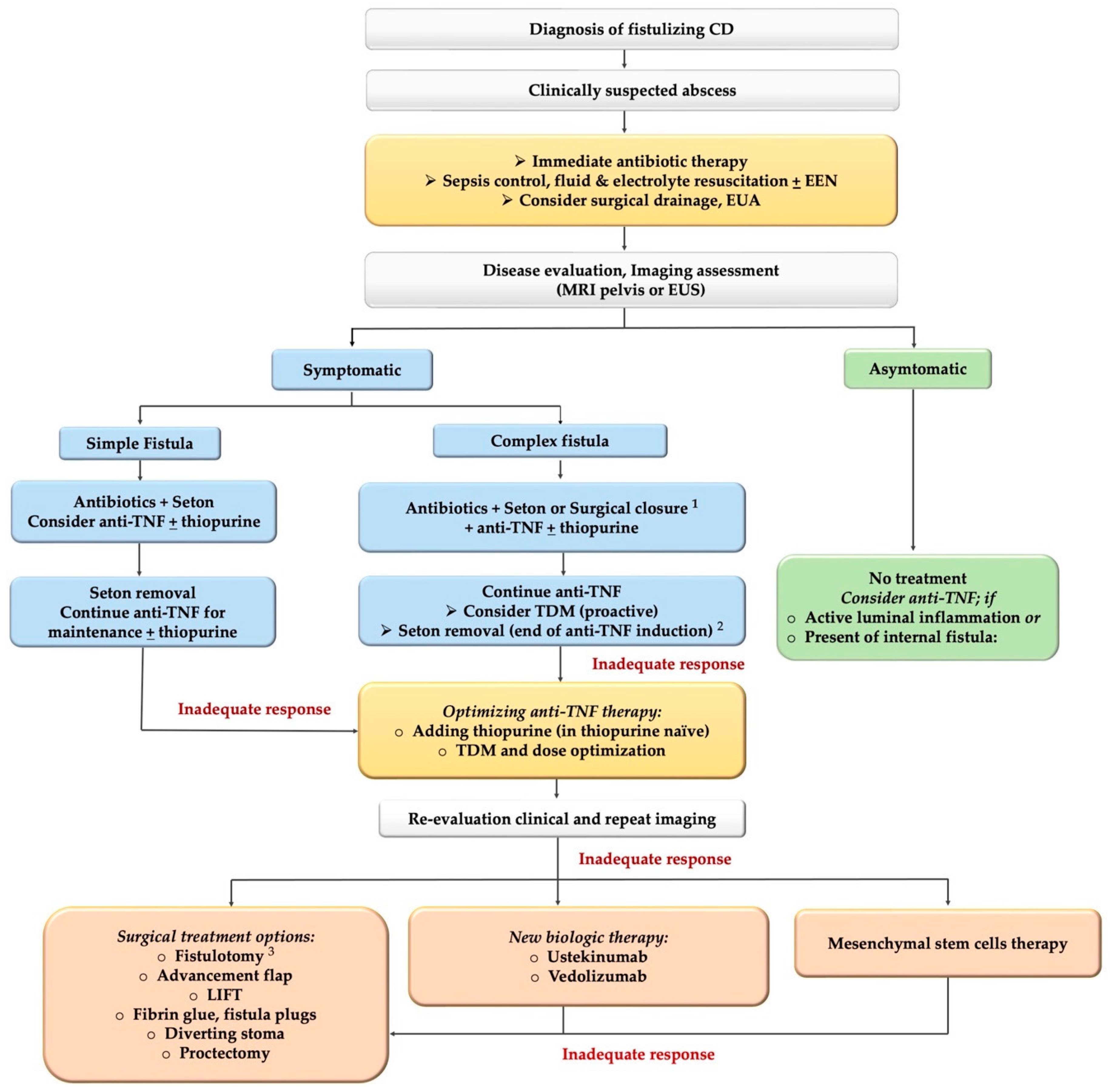 JCM | Free Full-Text | The Optimal Management of Fistulizing Crohn&rsquo;s  Disease: Evidence beyond Randomized Clinical Trials | HTML