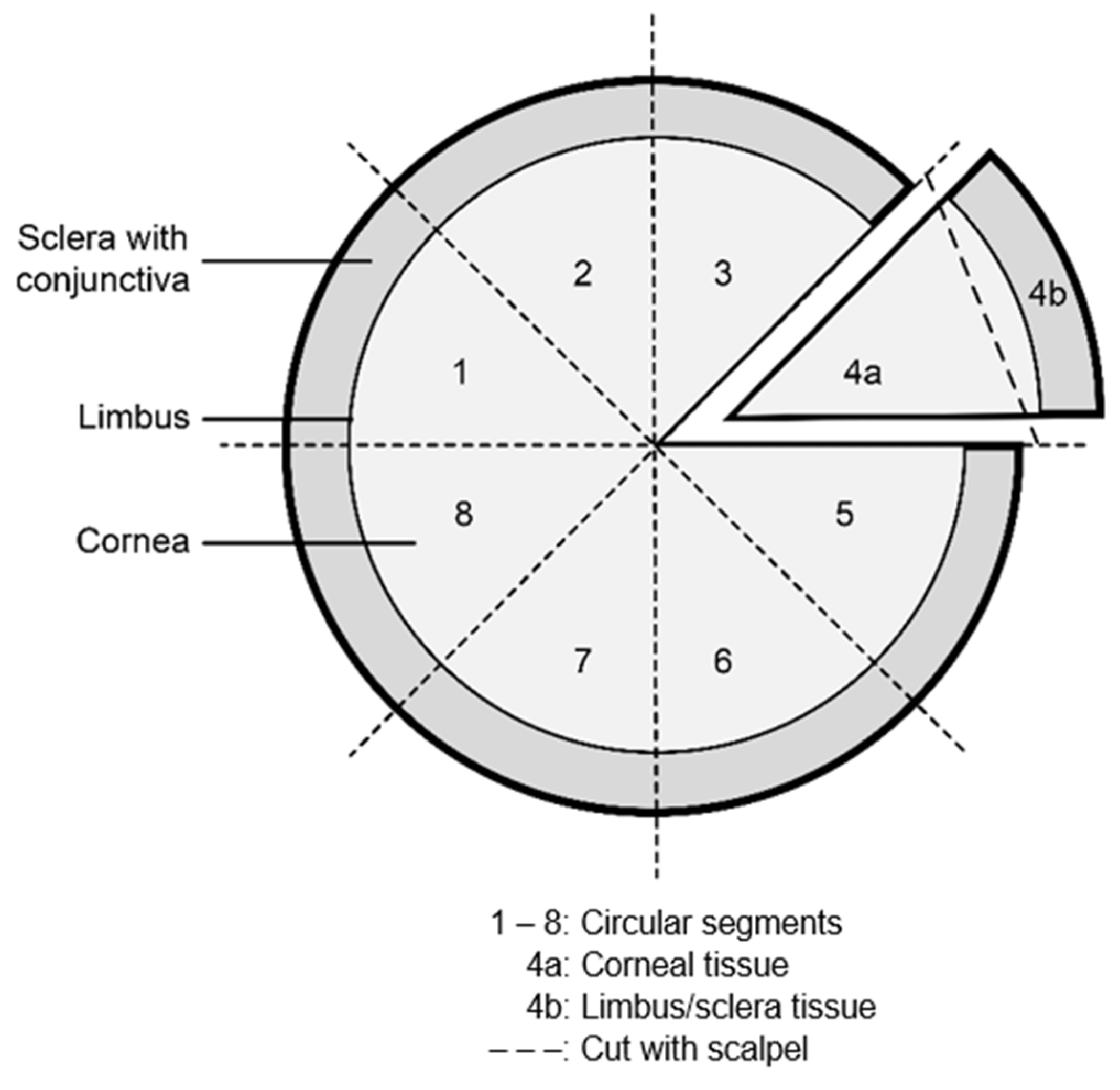 Jcm 11 03312 g001