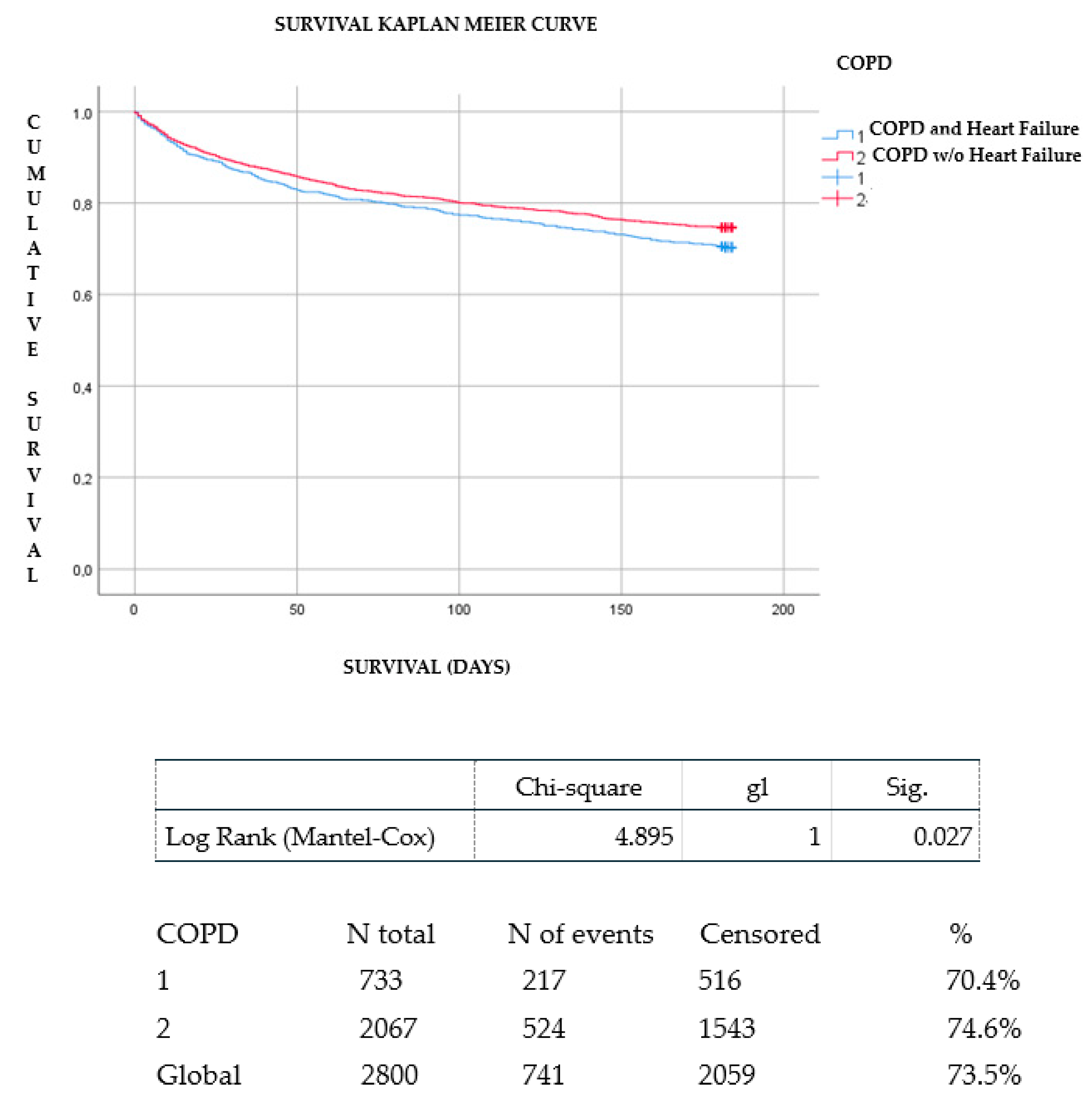 Sonia Amat Sanchez Nude - JCM | Free Full-Text | Chronic Obstructive Pulmonary Disease in Elderly  Patients with Acute and Advanced Heart Failure: Palliative Care  Needs—Analysis of the EPICTER Study