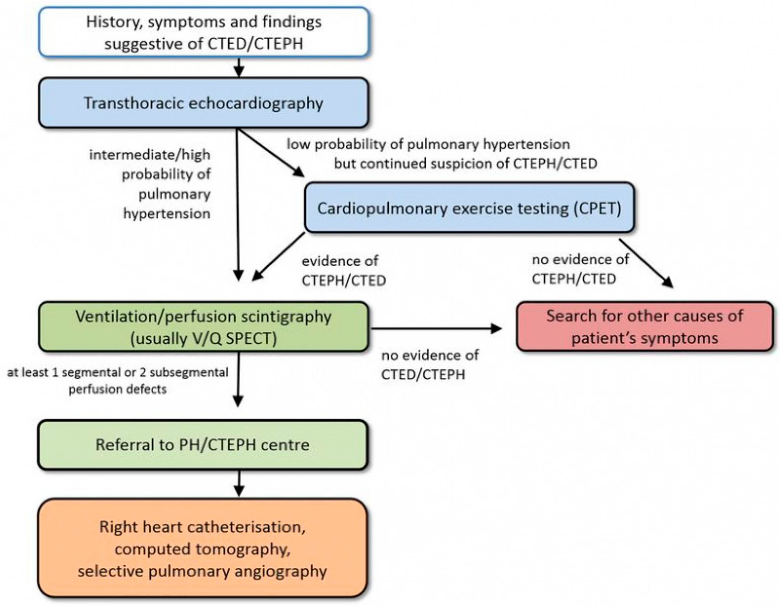 Jcm 11 04224 g001 Jcm 11 04224 g001