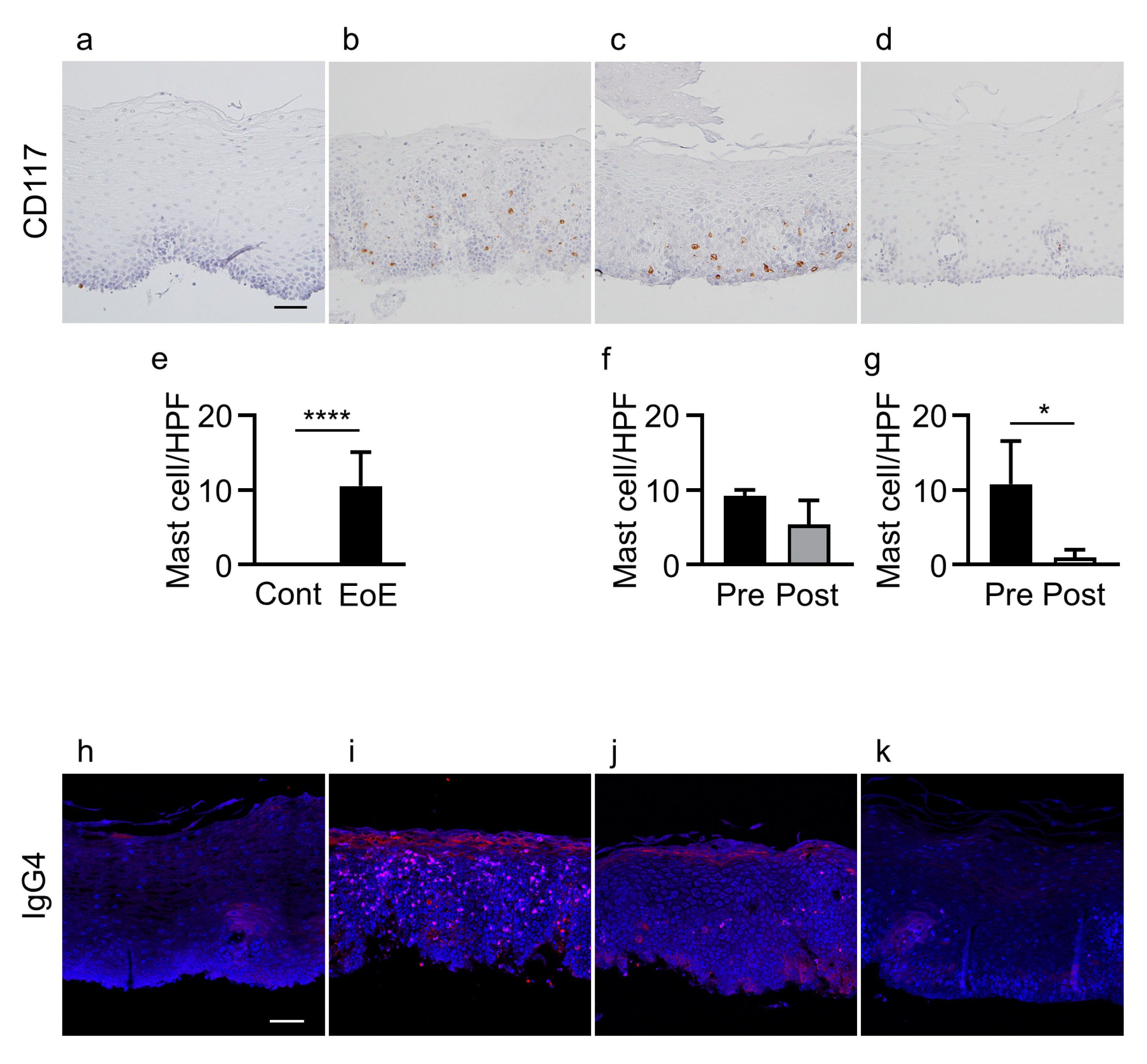 Jcm 11 04246 g002 Jcm 11 04246 g002
