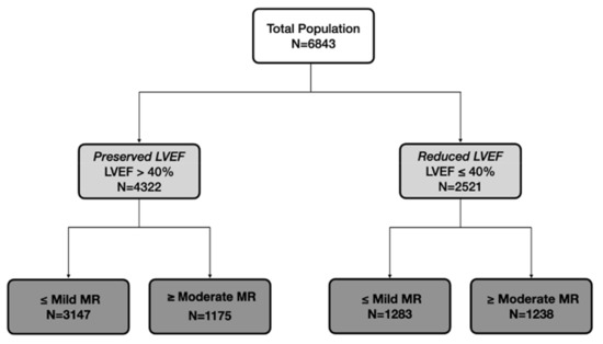 Functional mitral regurgitation and left ventricular systolic dysfunction  in the recent era of cardiovascular clinical practice, an observational  cohort study