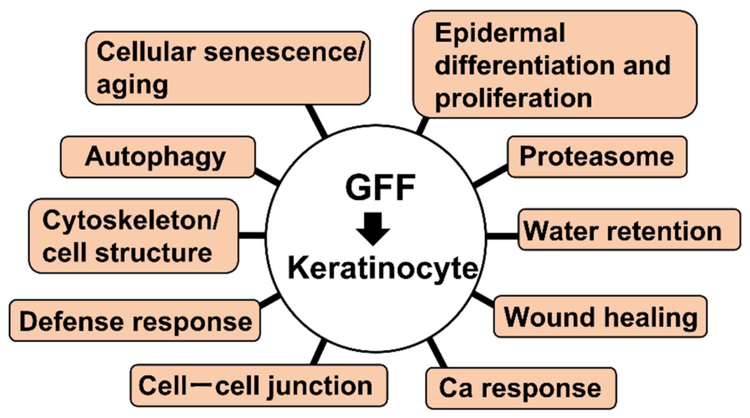 Jcm 11 04645 g001 Jcm 11 04645 g001