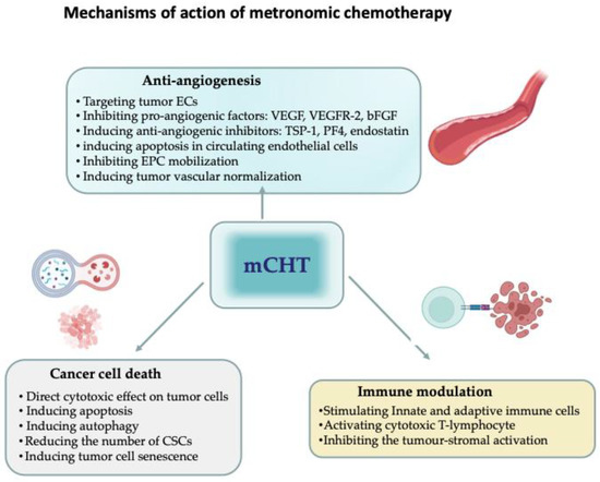 JCM | Free Full-Text | Metronomic Chemotherapy for Metastatic Breast Cancer  Treatment: Clinical and Preclinical Data between Lights and Shadows