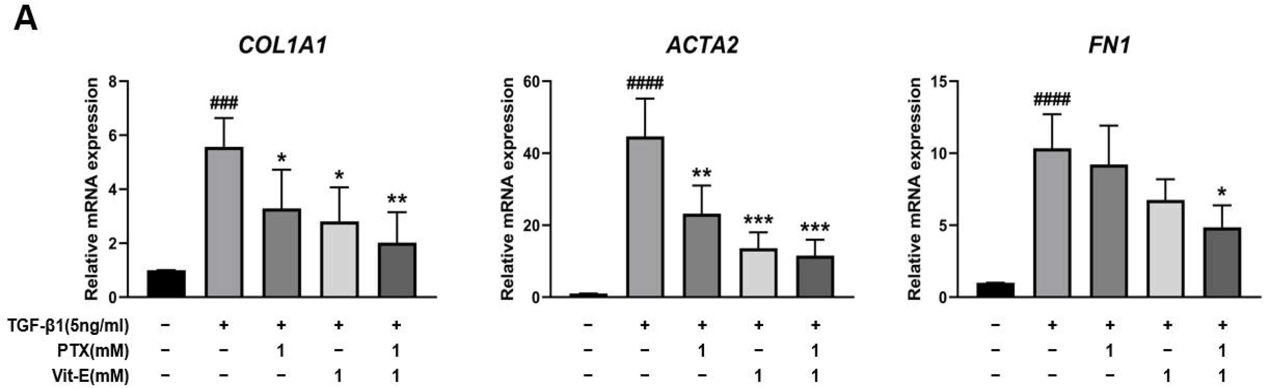 Jcm 11 04713 g002a Jcm 11 04713 g002a