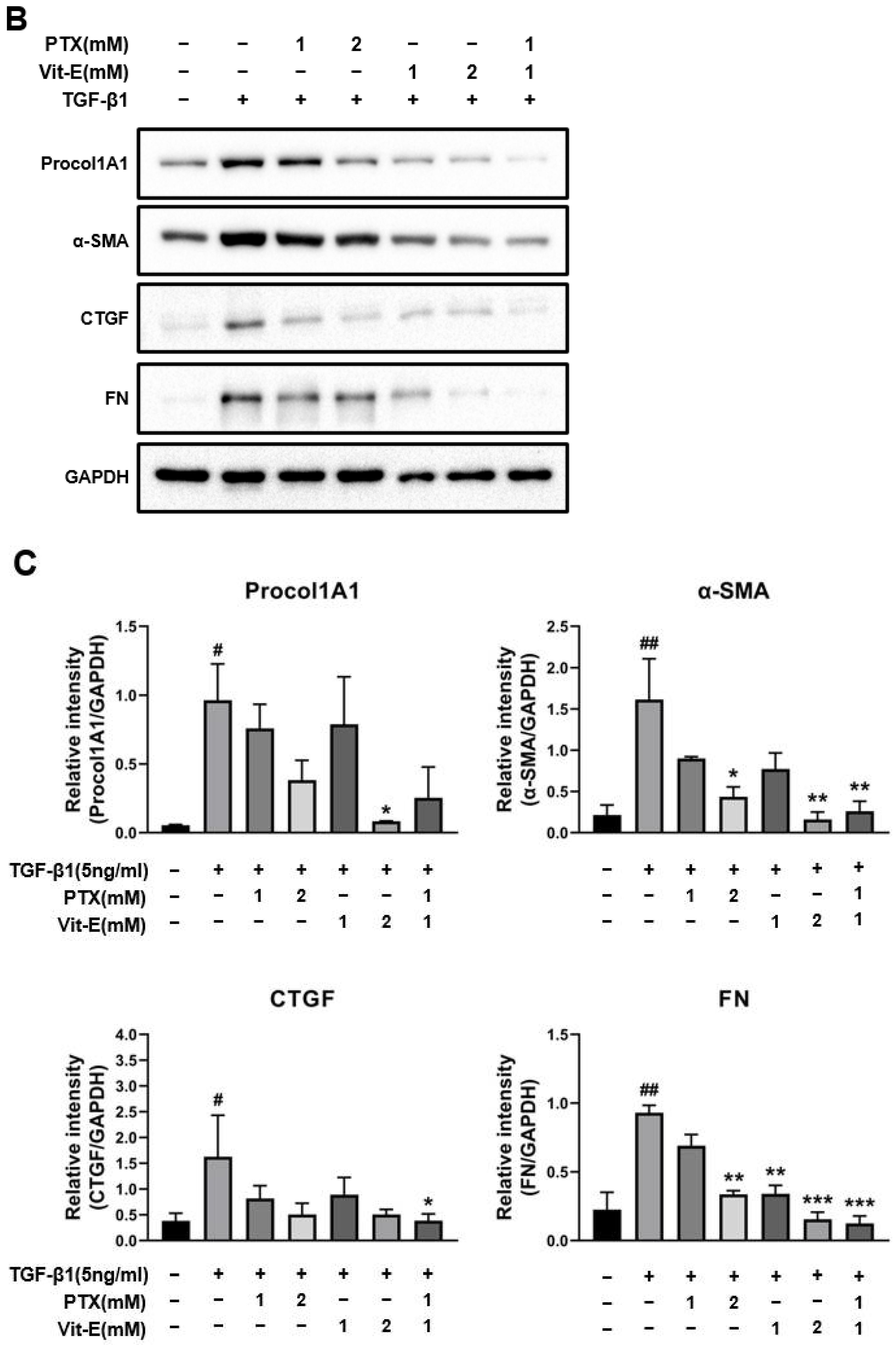 Jcm 11 04713 g002b Jcm 11 04713 g002b