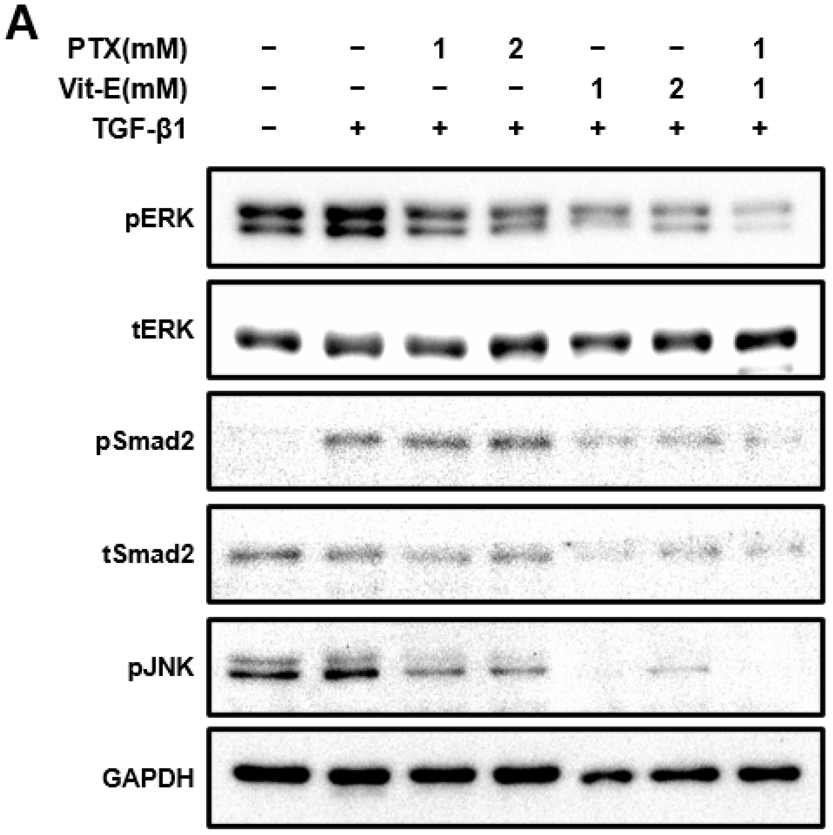 Jcm 11 04713 g004a Jcm 11 04713 g004a