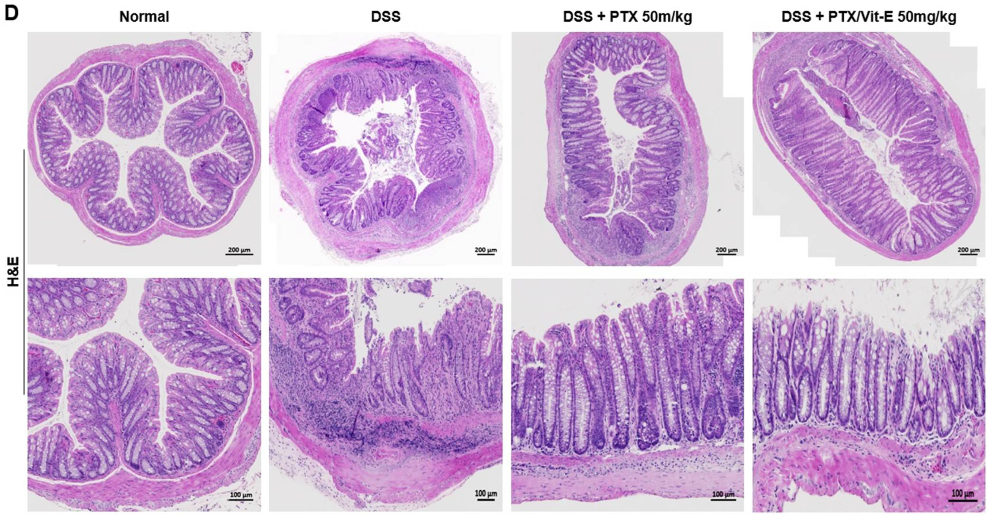 Jcm 11 04713 g005b Jcm 11 04713 g005b