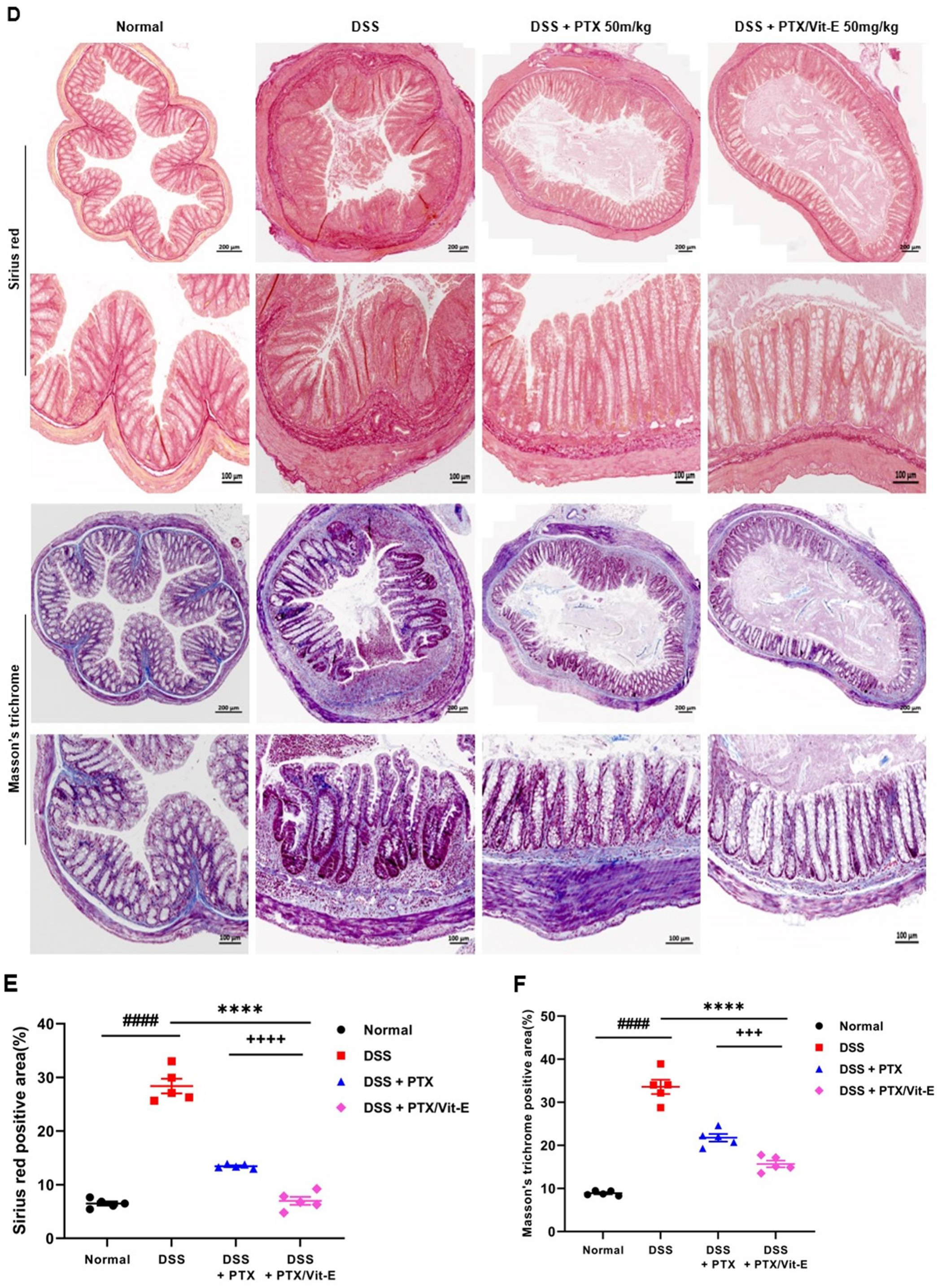 Jcm 11 04713 g006b Jcm 11 04713 g006b