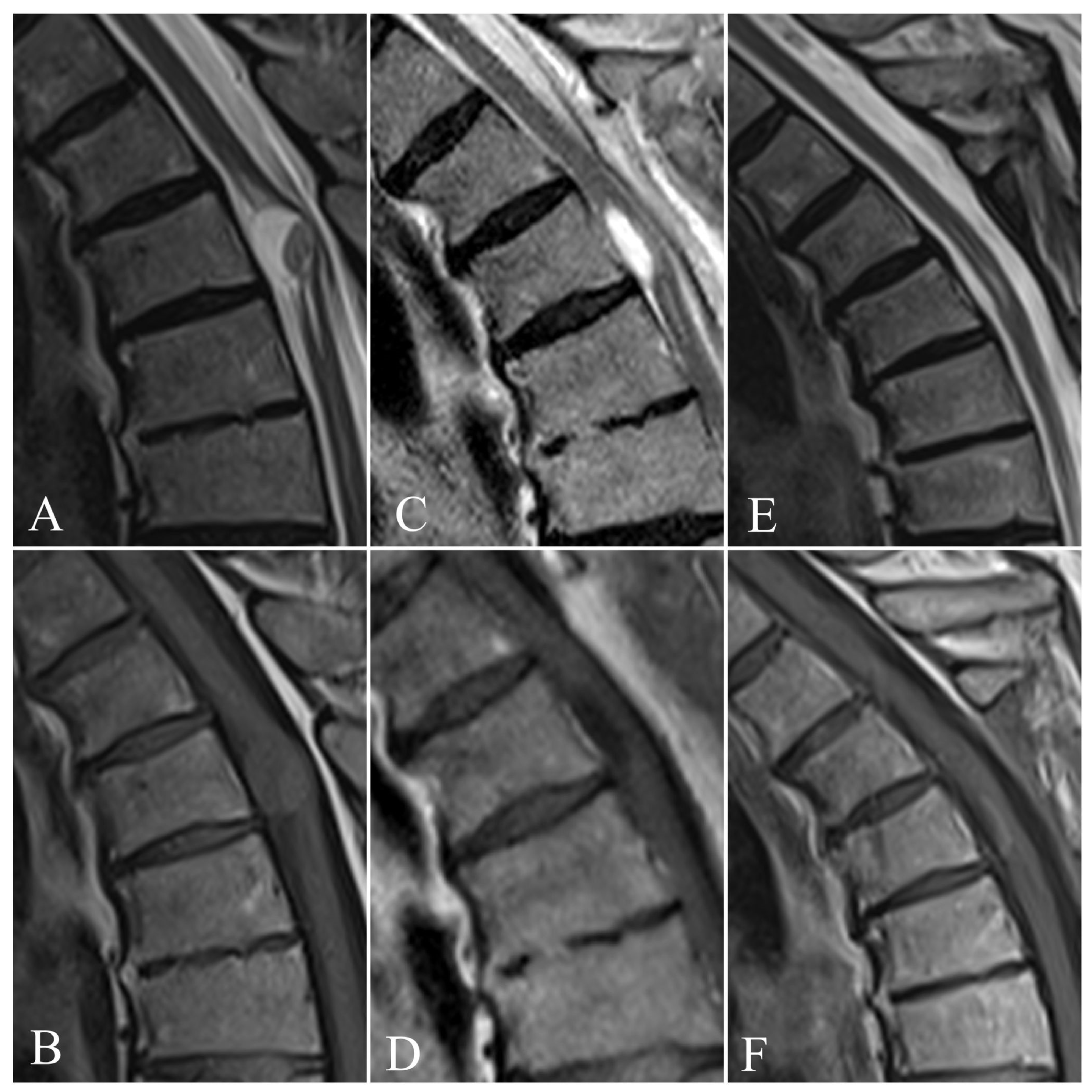 Jcm 11 05148 g001 Jcm 11 05148 g001