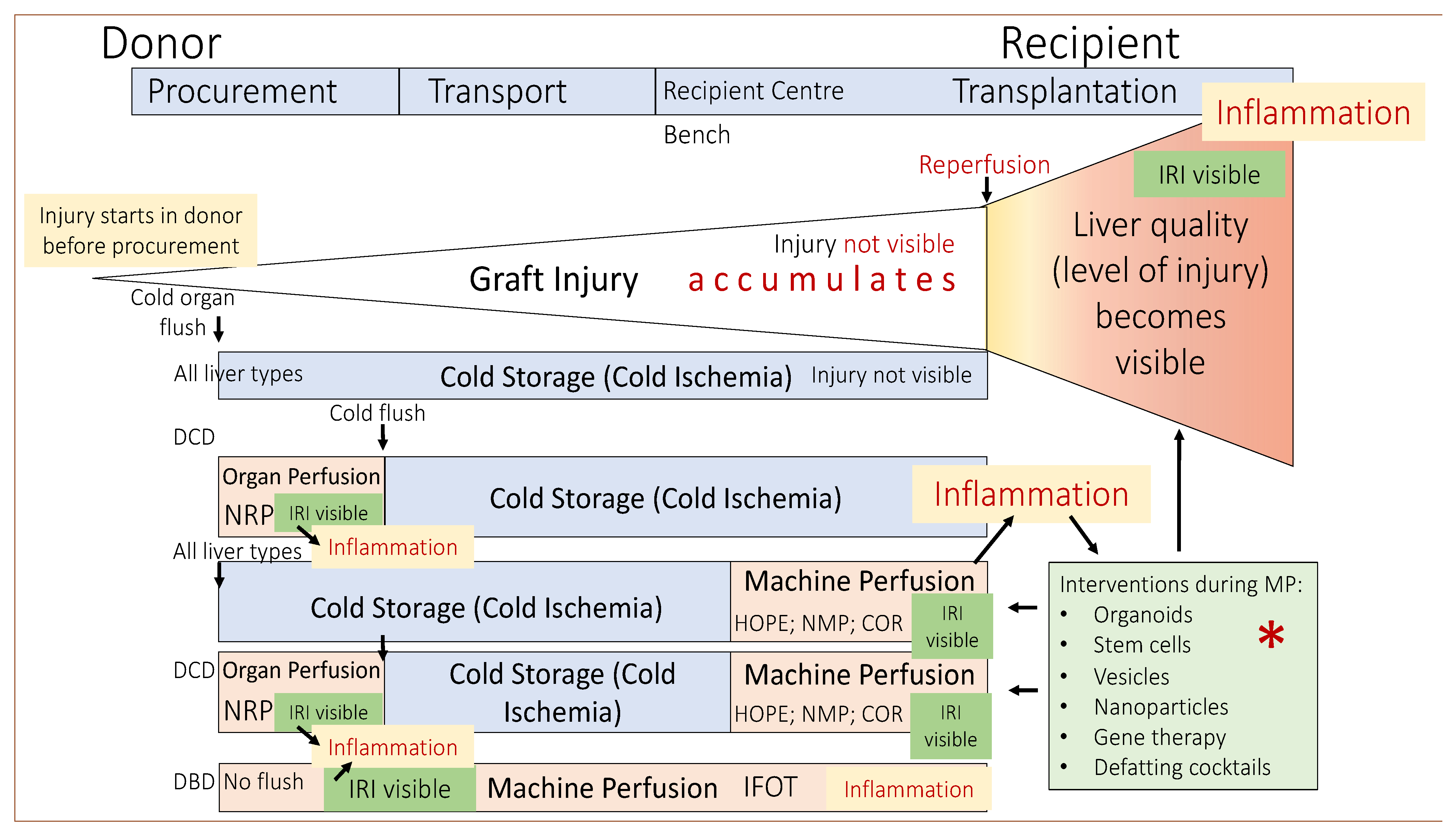 Jcm 11 05218 g002 Jcm 11 05218 g002