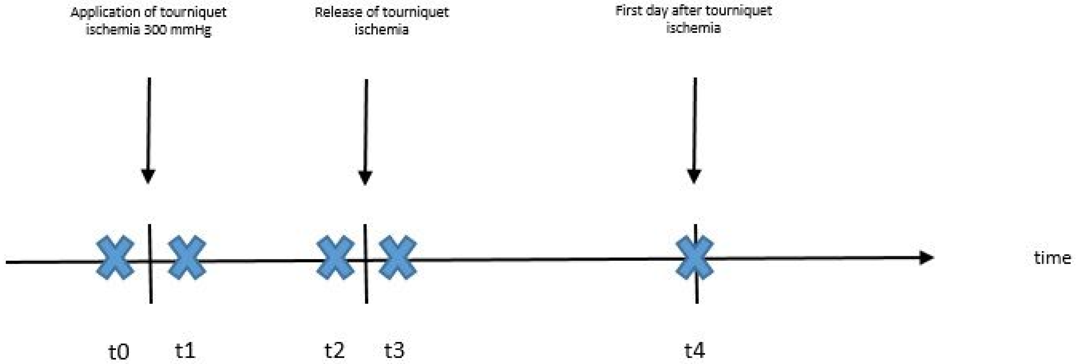 Jcm 11 05240 g001 Jcm 11 05240 g001