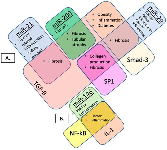 Jcm Free Full Text Urinary Exosomal Micrornas As Biomarkers For