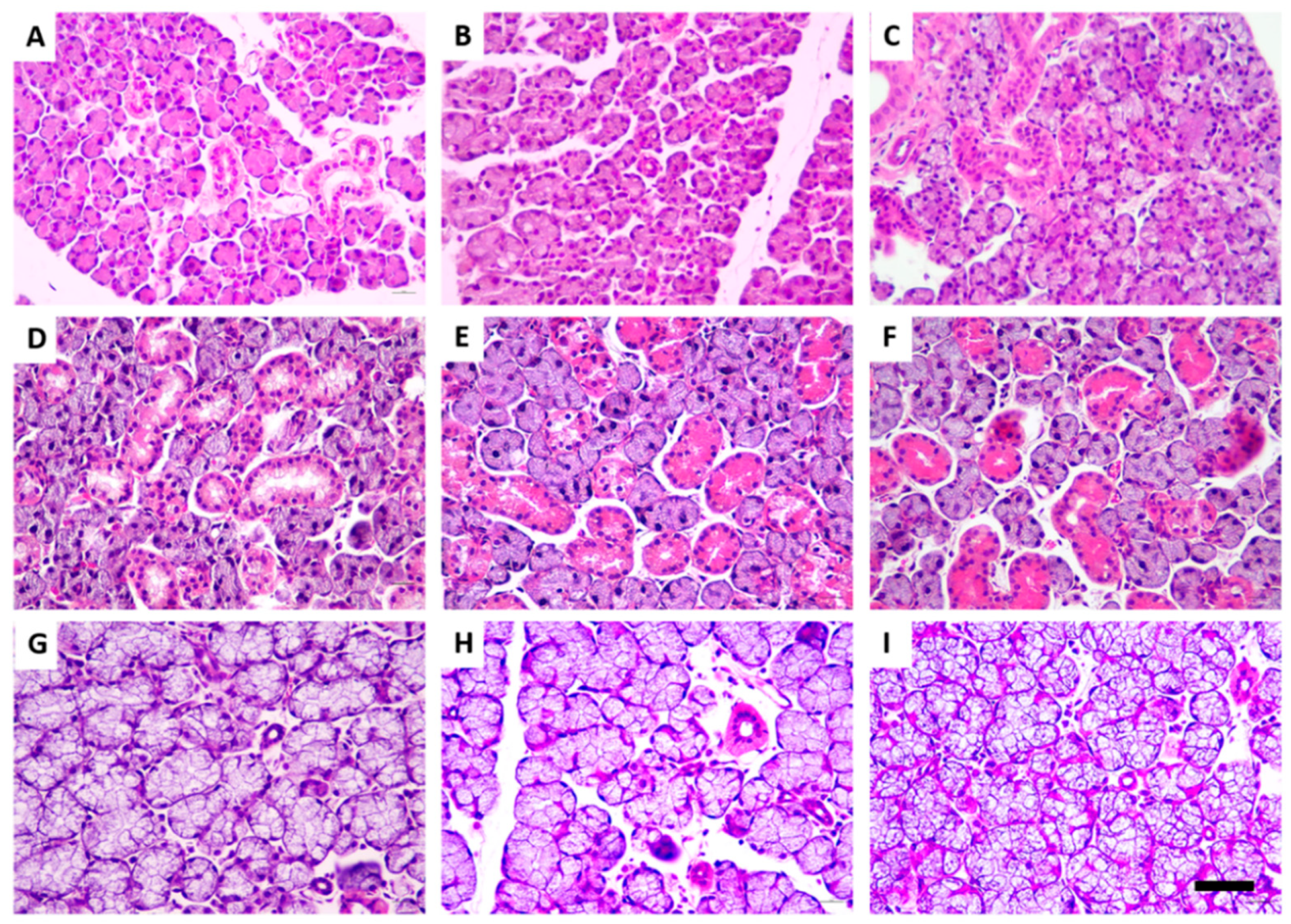 Jcm 11 05373 g002 Jcm 11 05373 g002
