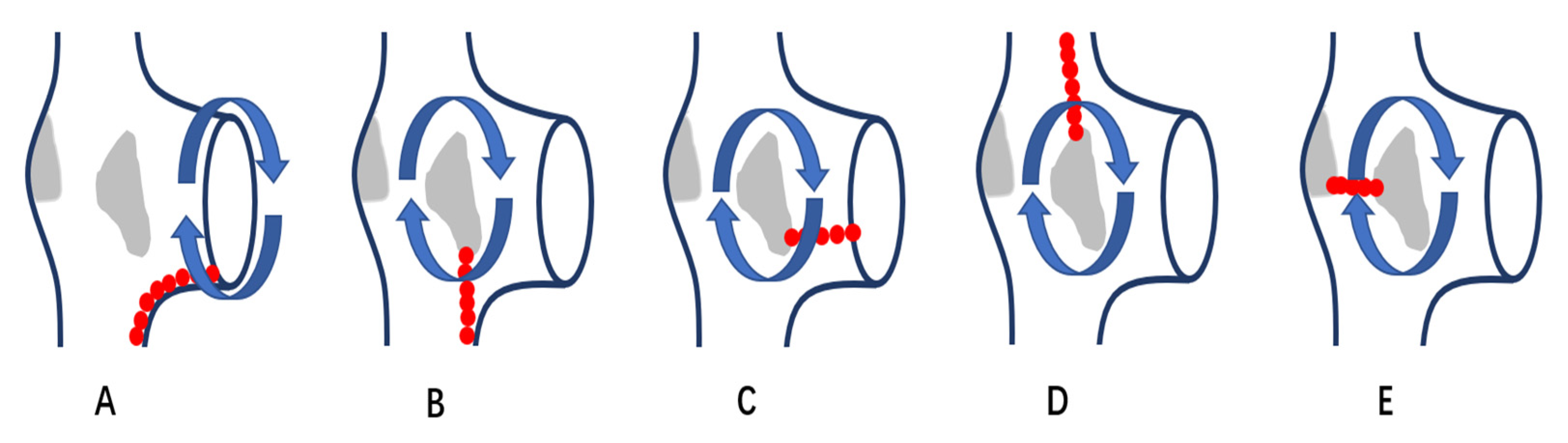 Jcm 11 05407 g001 Jcm 11 05407 g001
