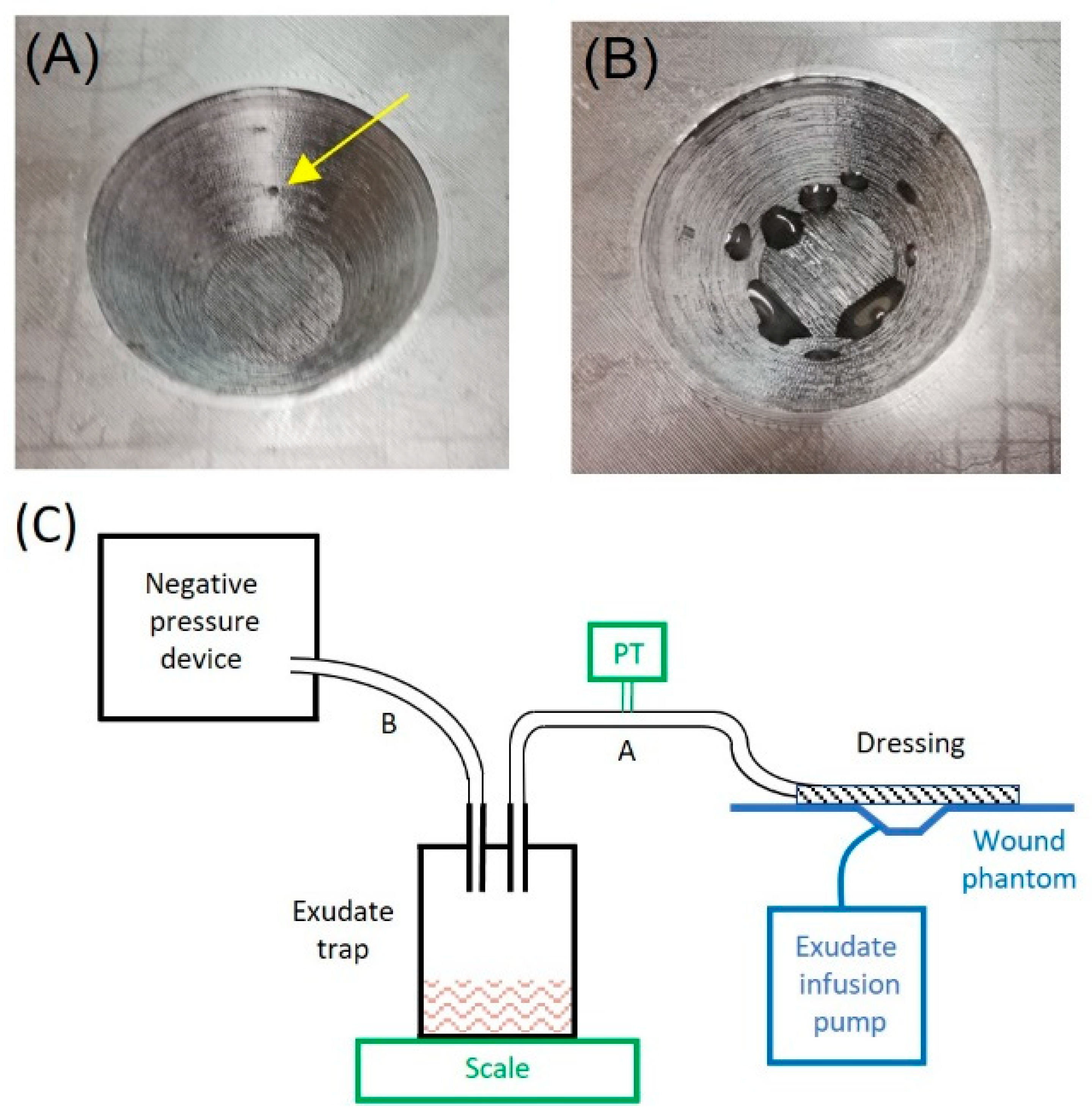 Jcm 11 05417 g002 Jcm 11 05417 g002