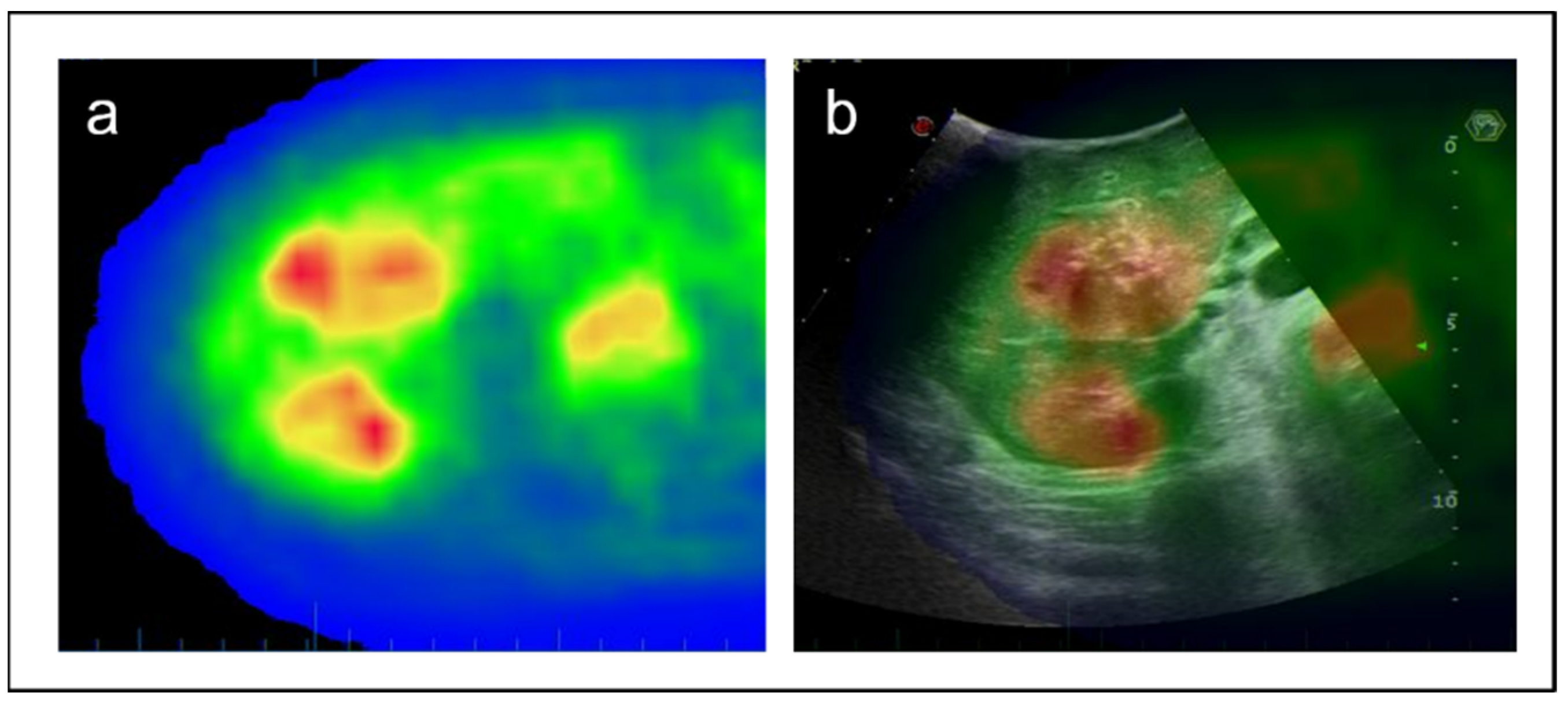 Jcm 11 05451 g001 Jcm 11 05451 g001