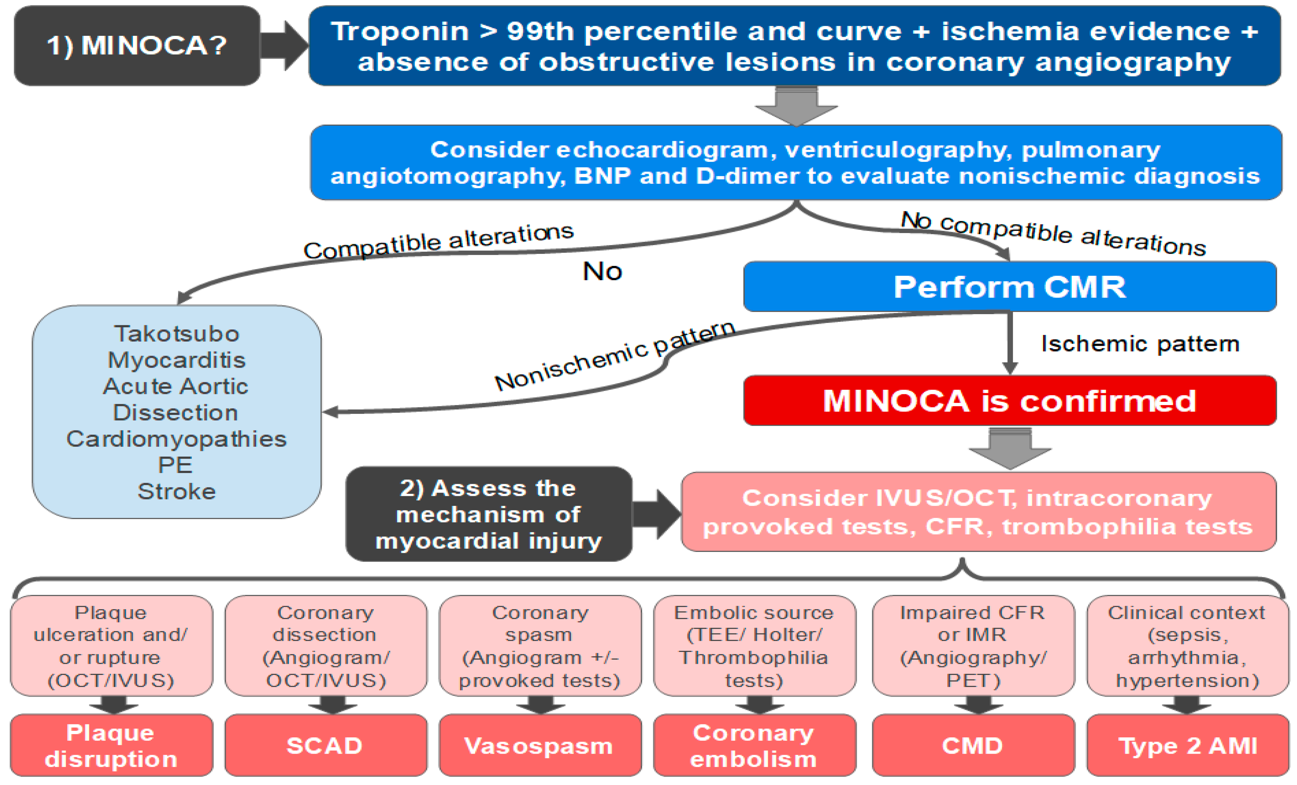 Jcm Free Full Text Minoca One Size Fits All Probably Not—a Review Of Etiology 