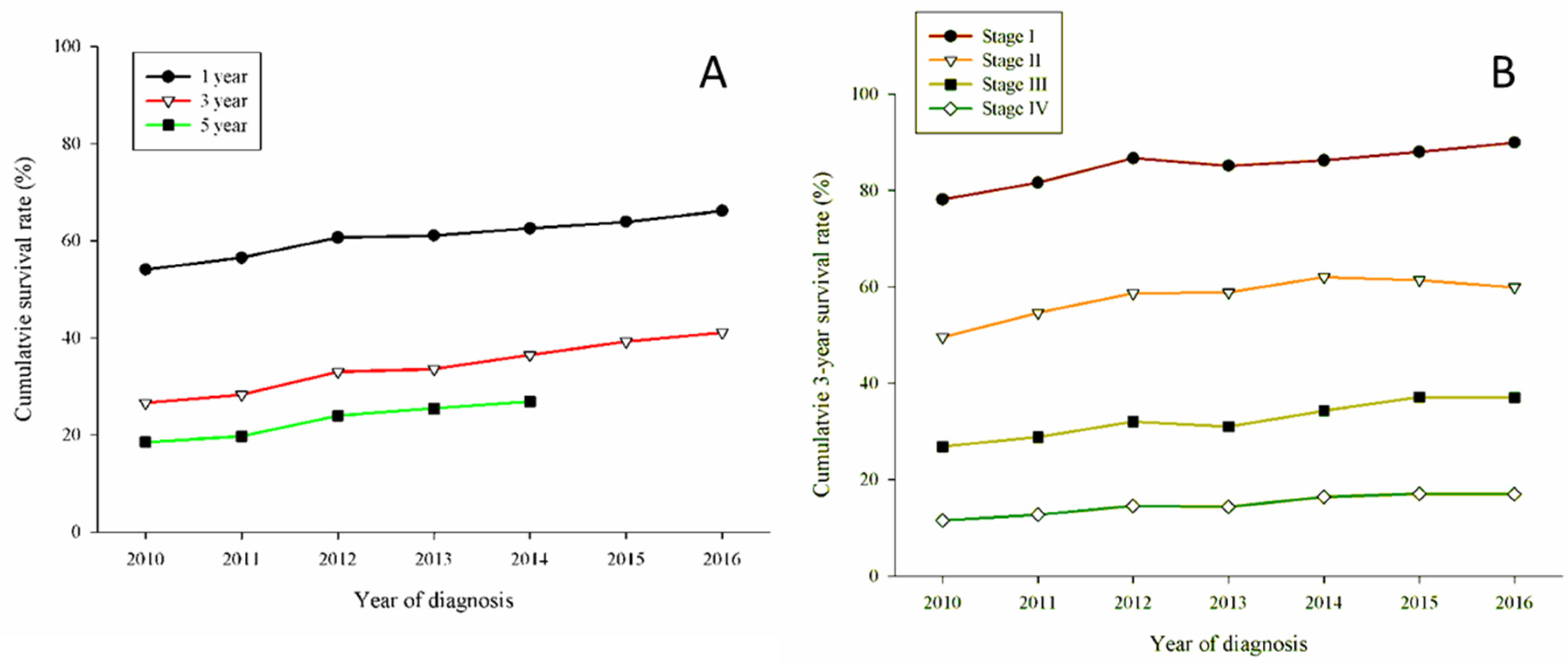 Jcm 11 05503 g001 Jcm 11 05503 g001