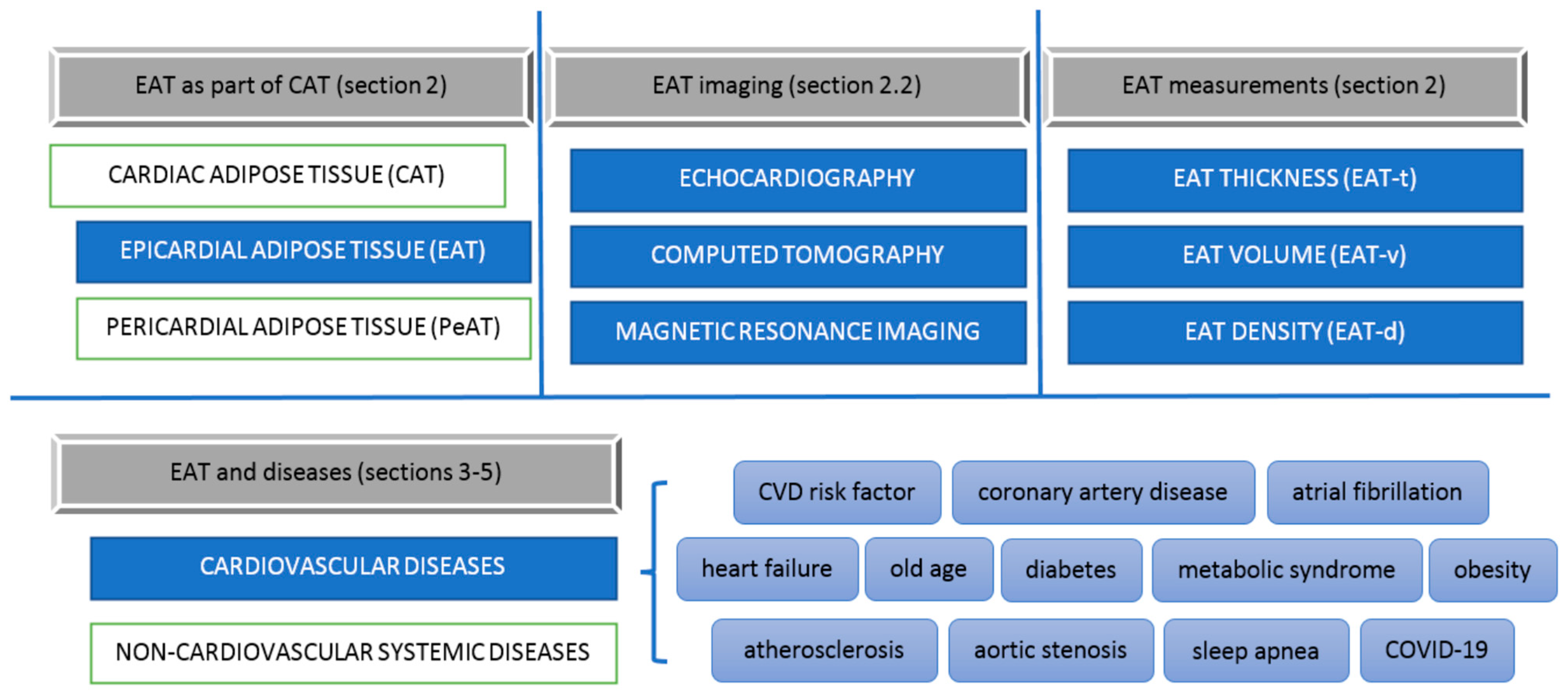 Jcm 11 05621 g003 Jcm 11 05621 g003