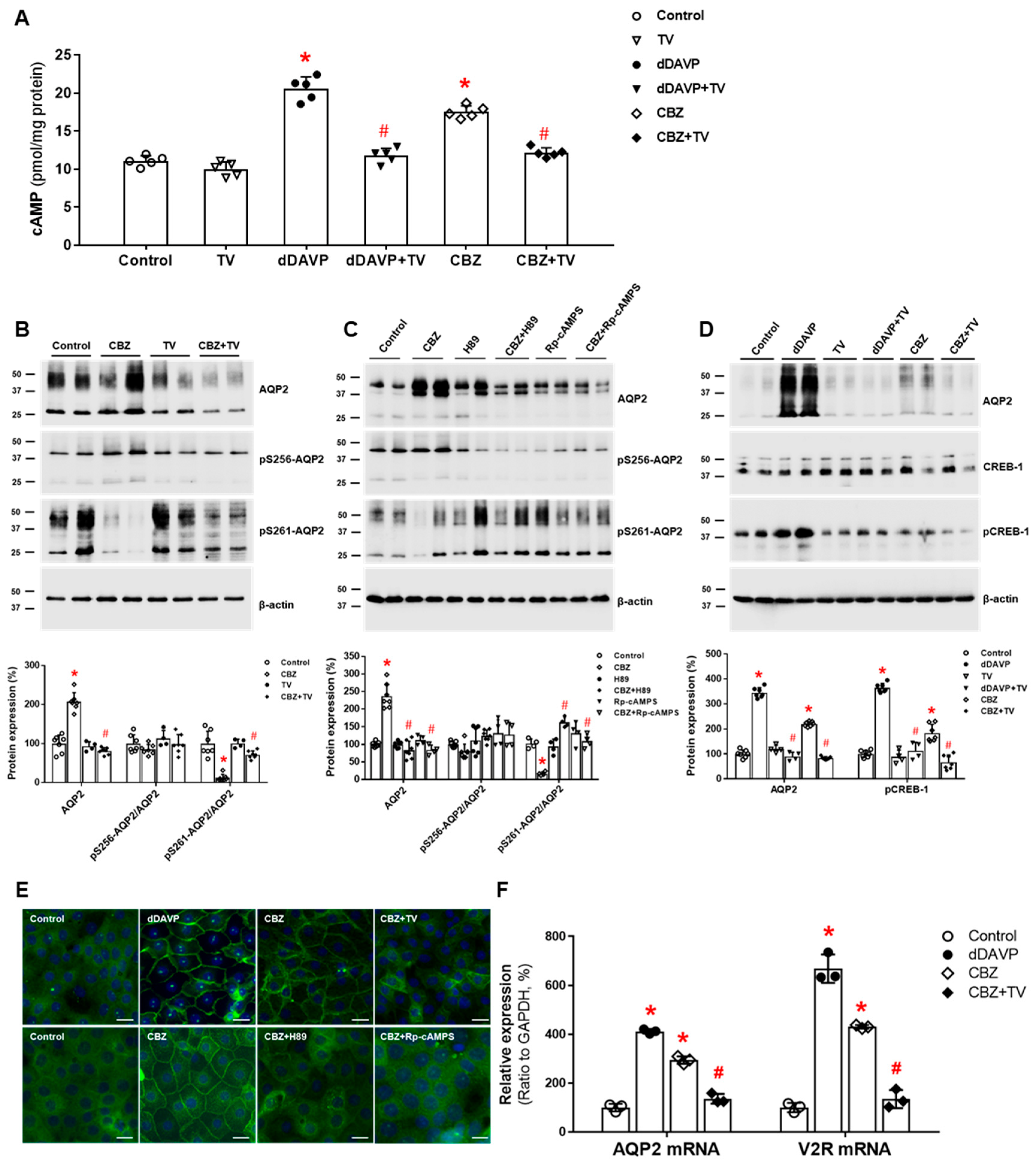Jcm 11 05810 g004 Jcm 11 05810 g004