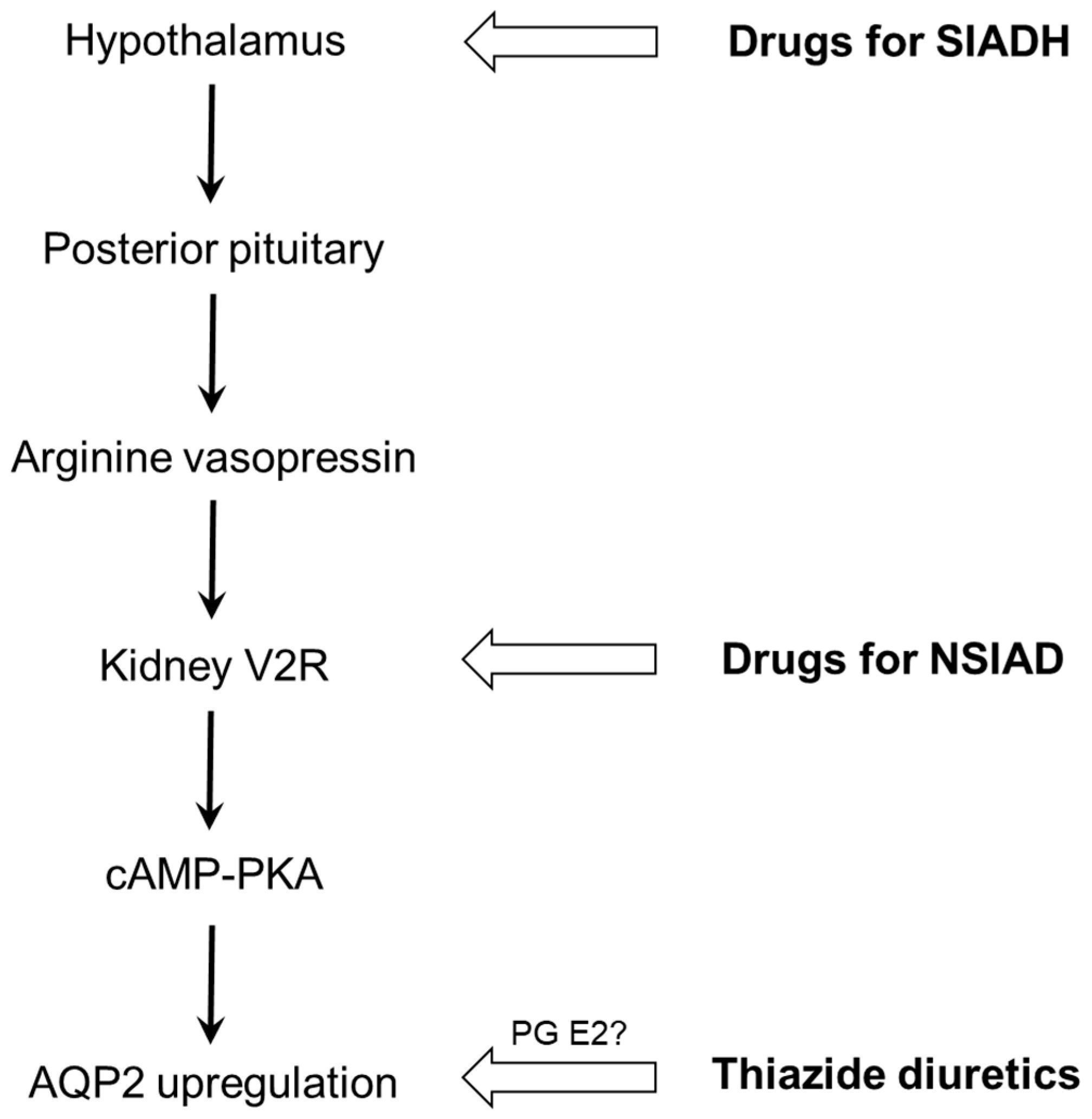 Jcm 11 05810 g005 Jcm 11 05810 g005