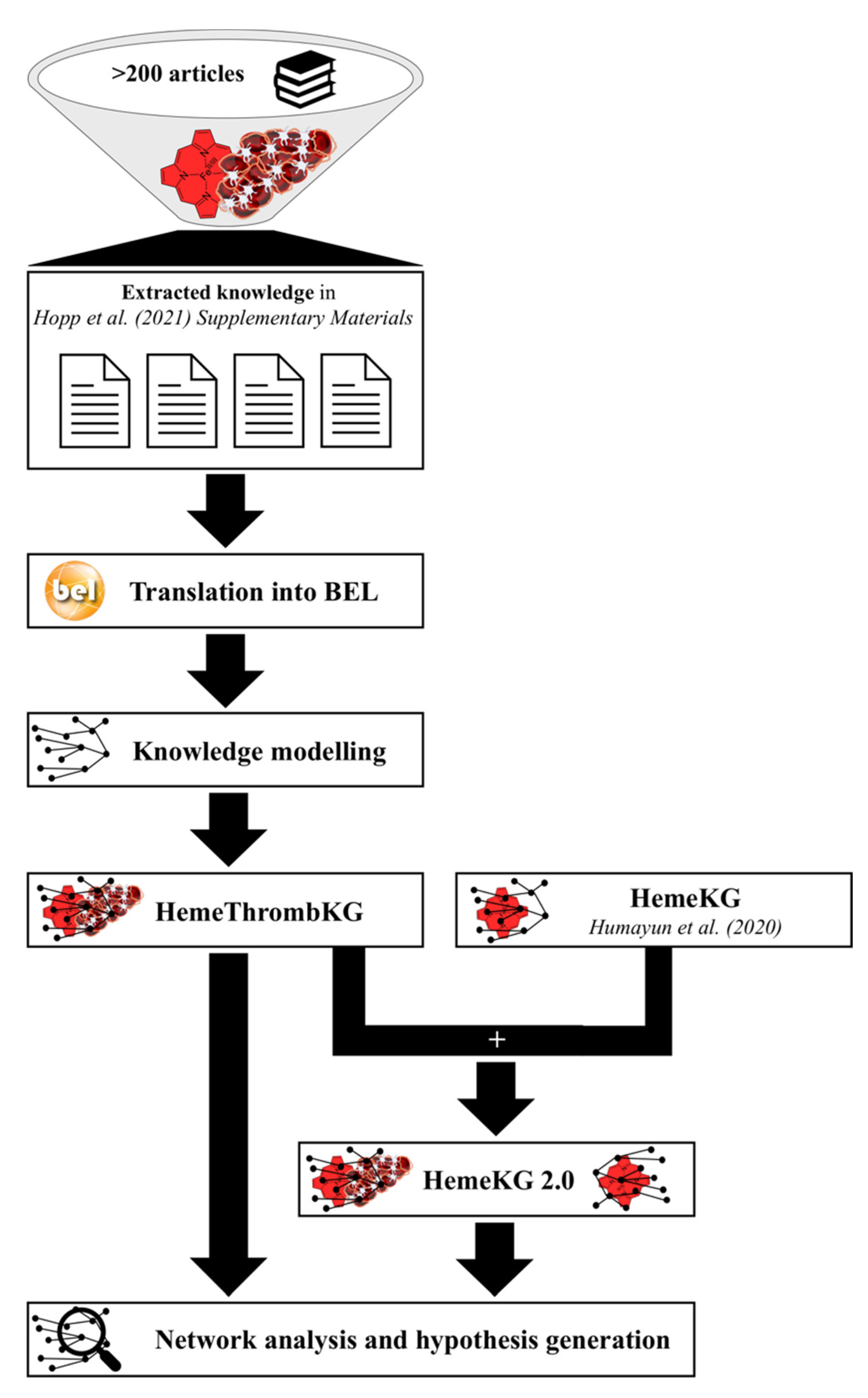 JCM | Free Full-Text | Exploring the Complex Network of Heme-Triggered  Effects on the Blood Coagulation System