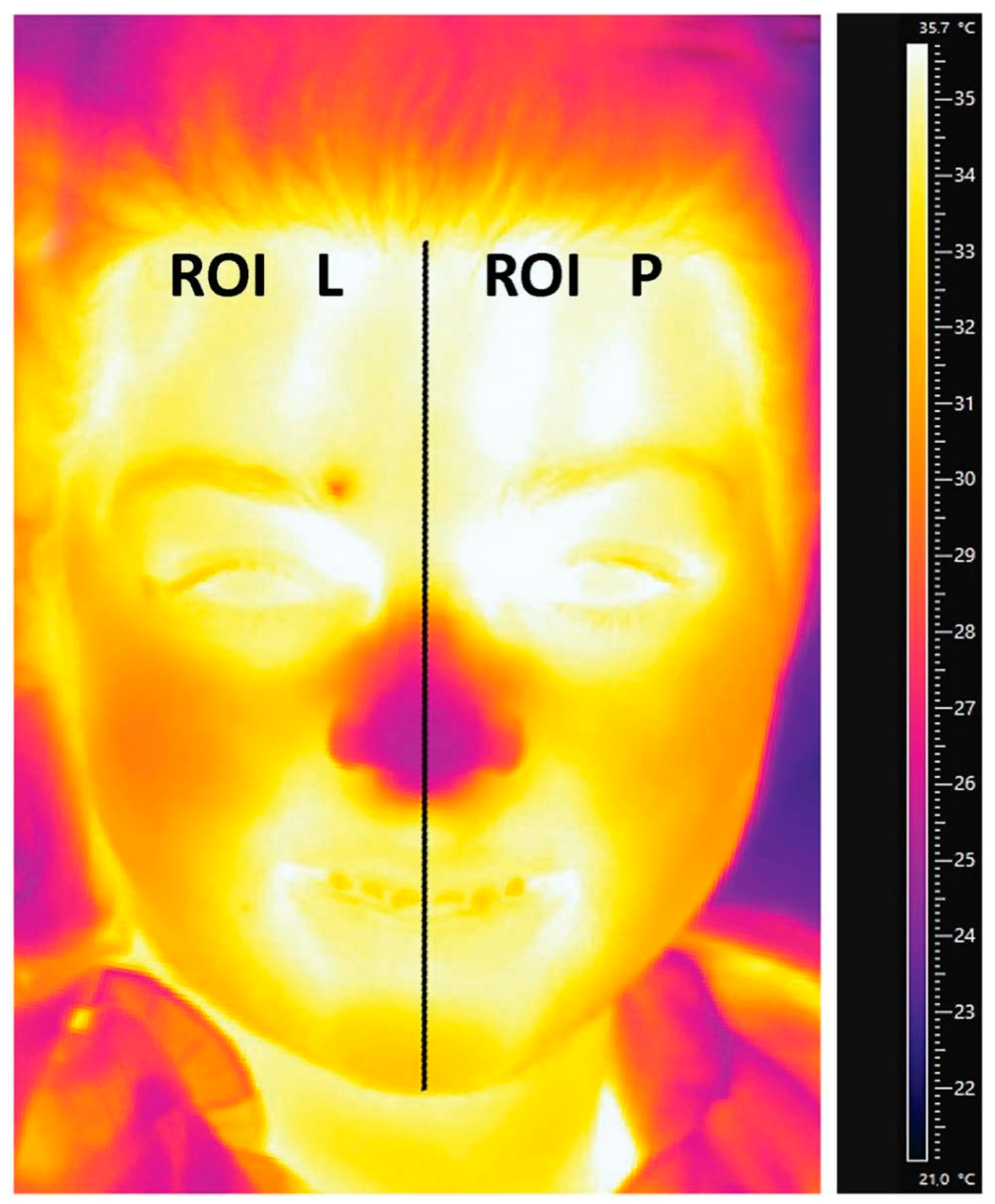 Jcm 11 06079 g004 Jcm 11 06079 g004