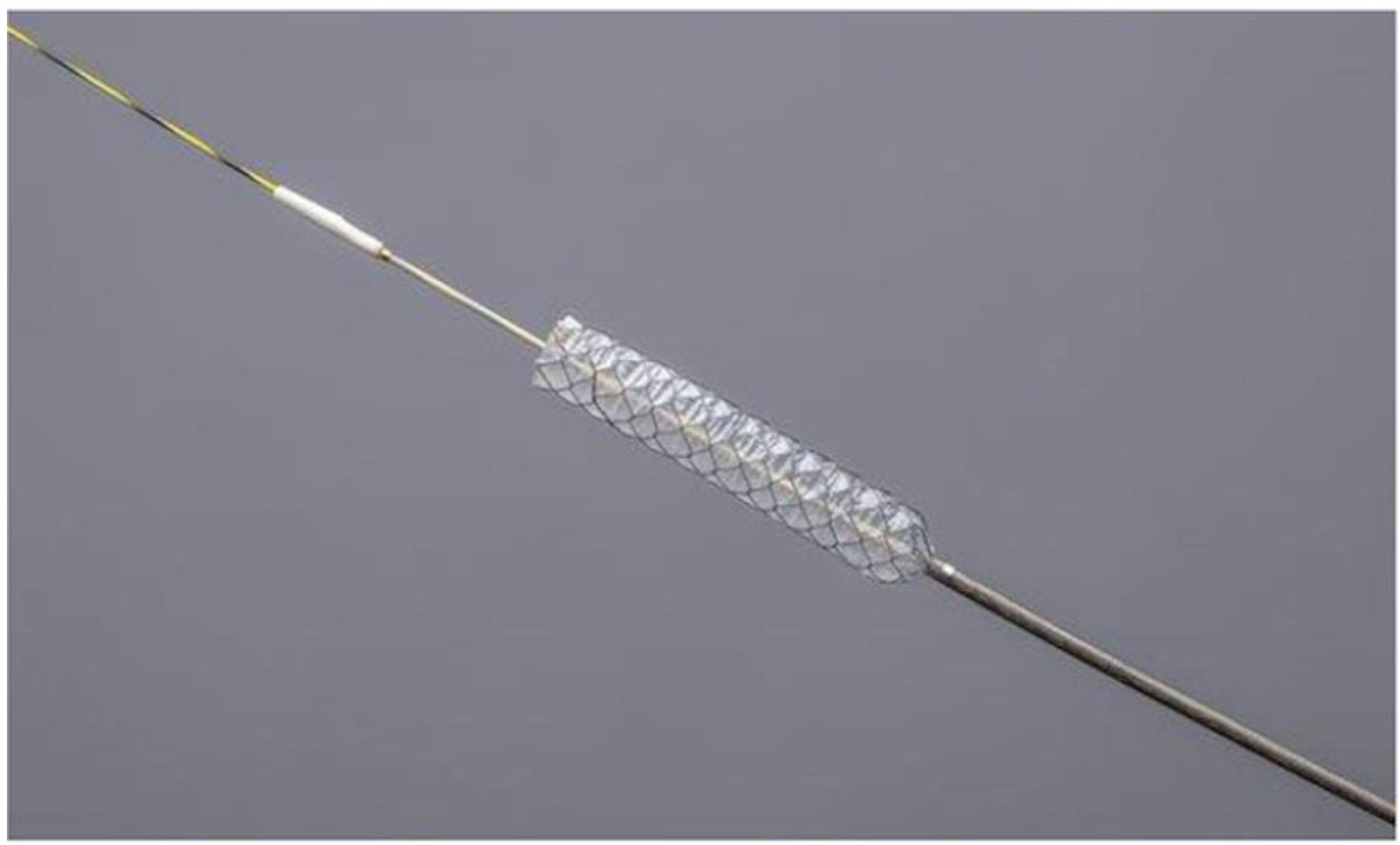 Hilar Biliary Stent