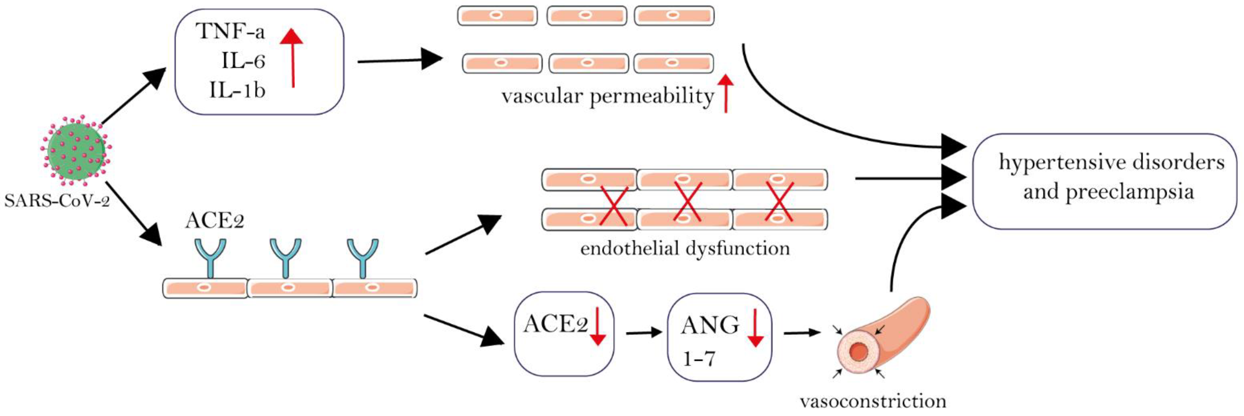 Symptoms and syndromes associated with SARS-CoV-2 infection and