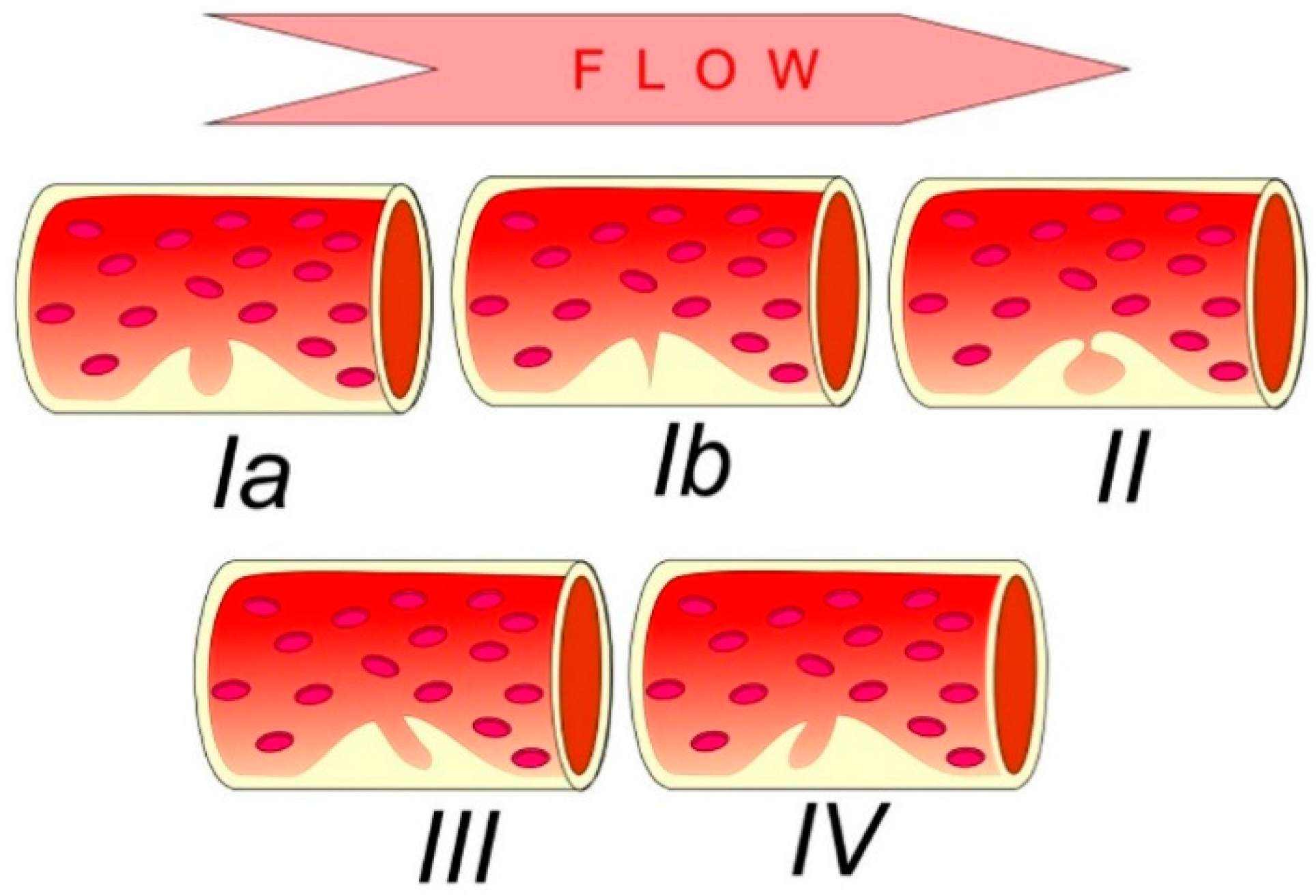 Jcm 11 06196 g005 Jcm 11 06196 g005