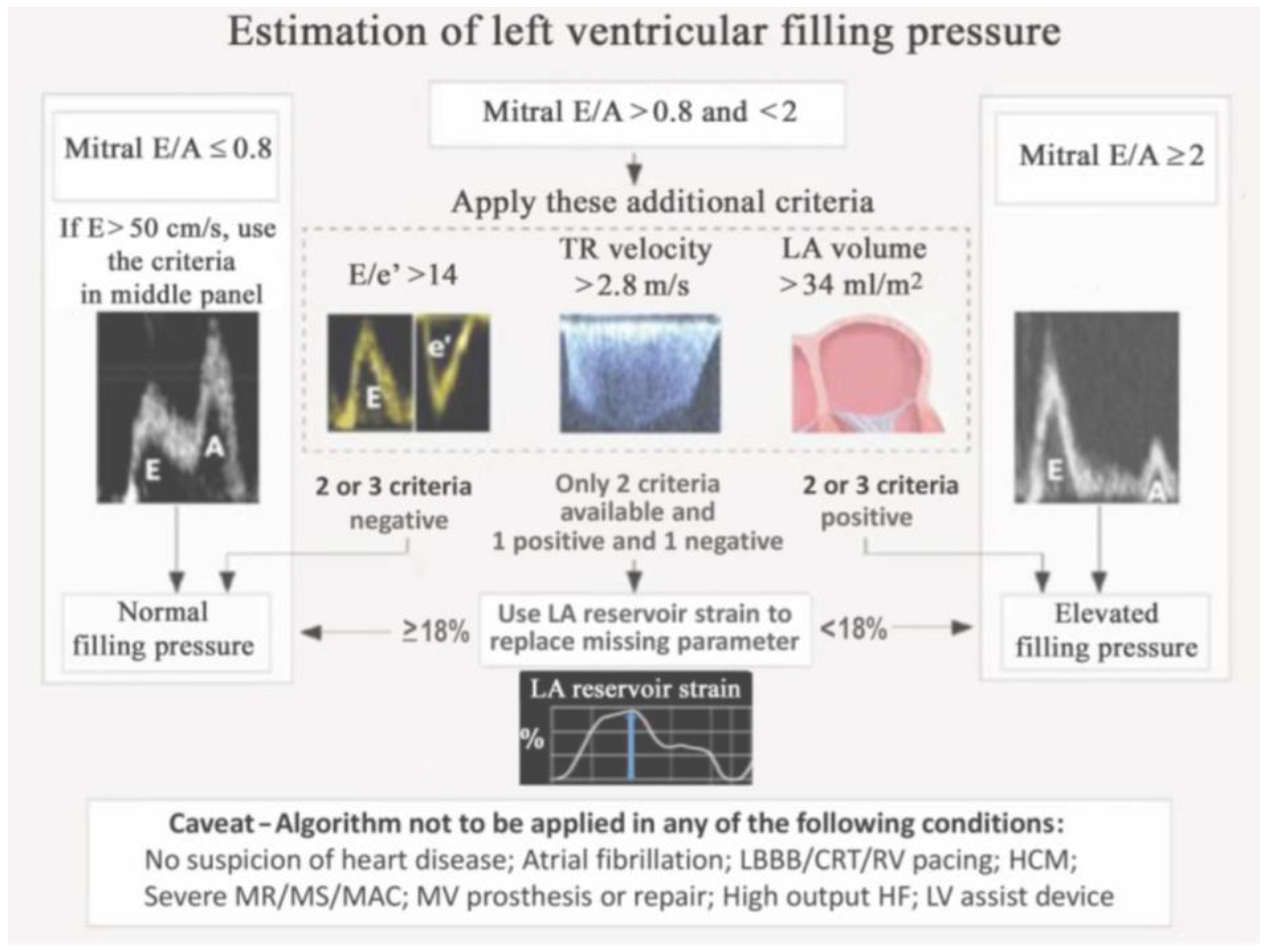 Jcm 11 06201 g002 Jcm 11 06201 g002
