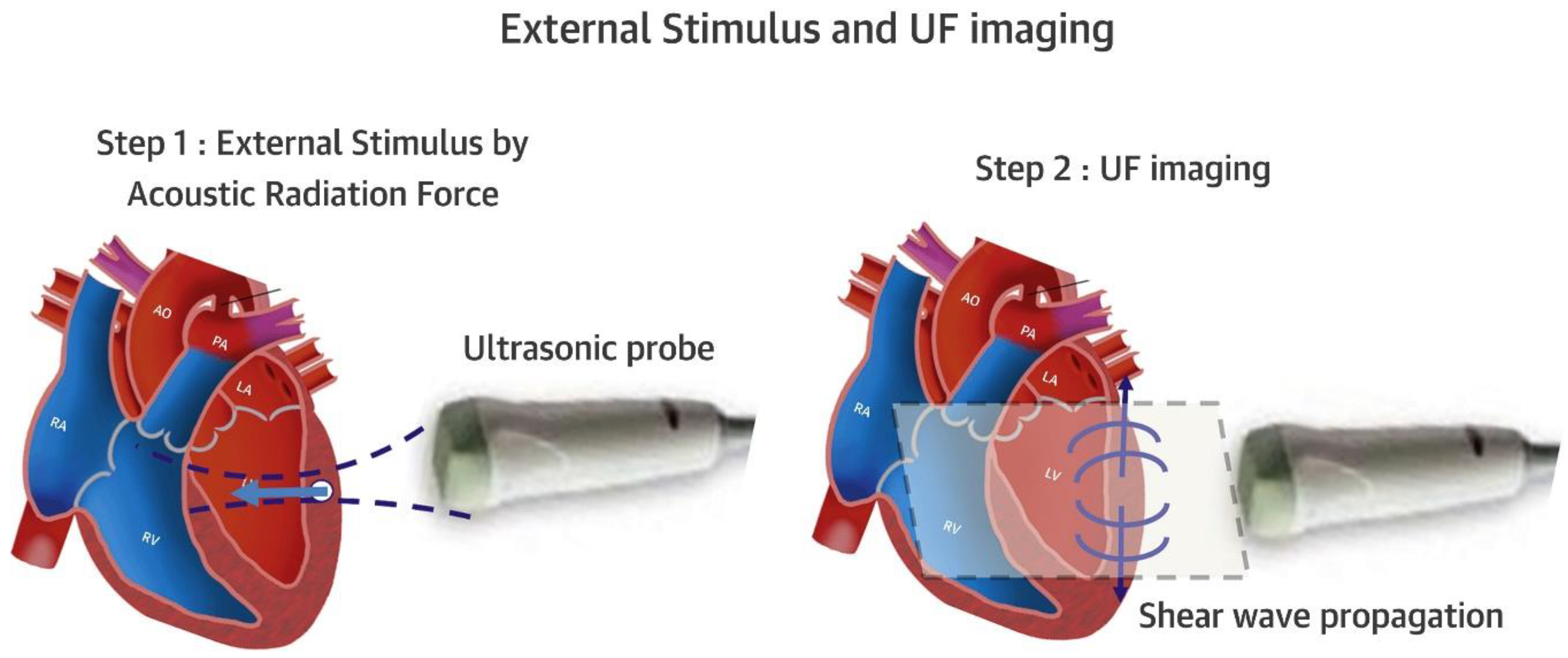 Jcm 11 06201 g003 Jcm 11 06201 g003