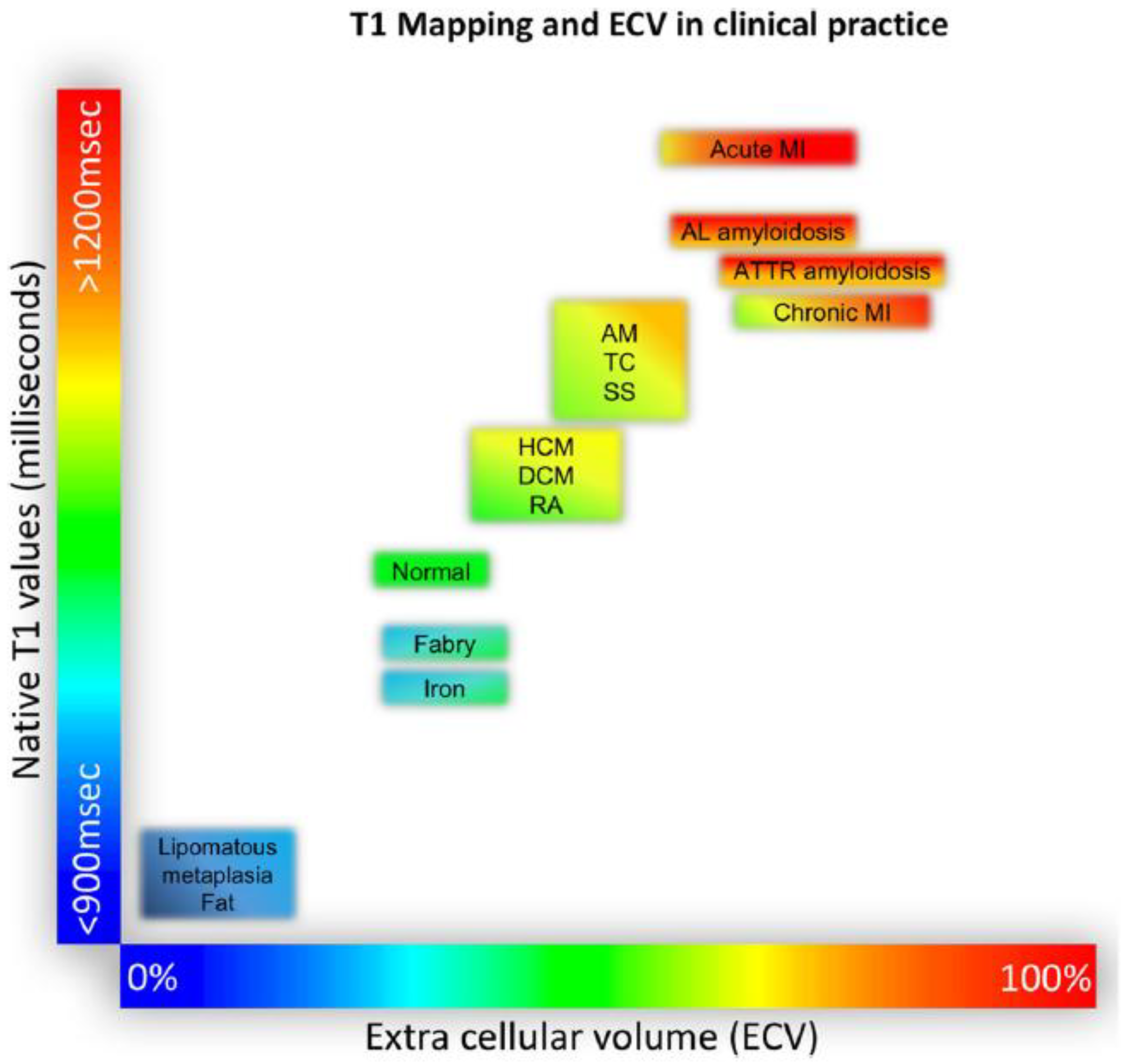 Jcm 11 06201 g005 Jcm 11 06201 g005