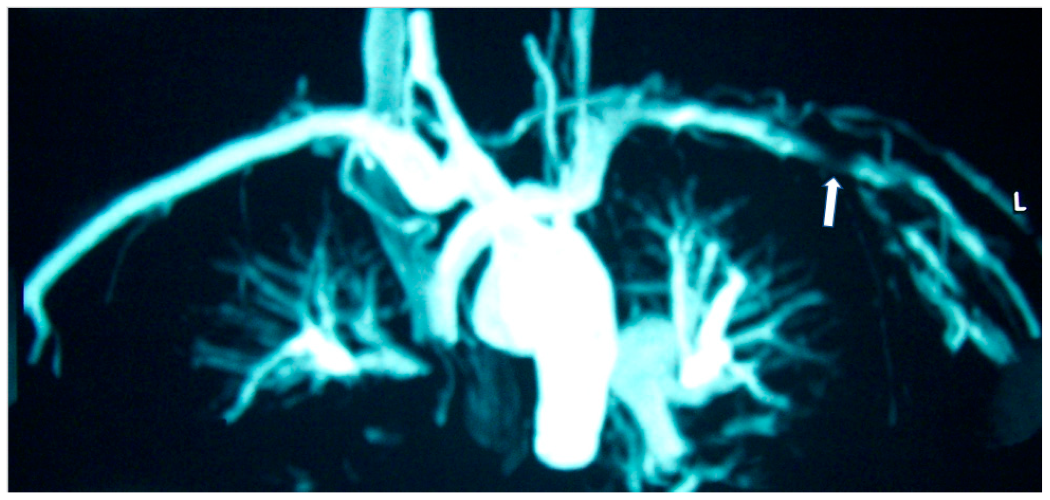 Jcm 11 06403 g002 Jcm 11 06403 g002