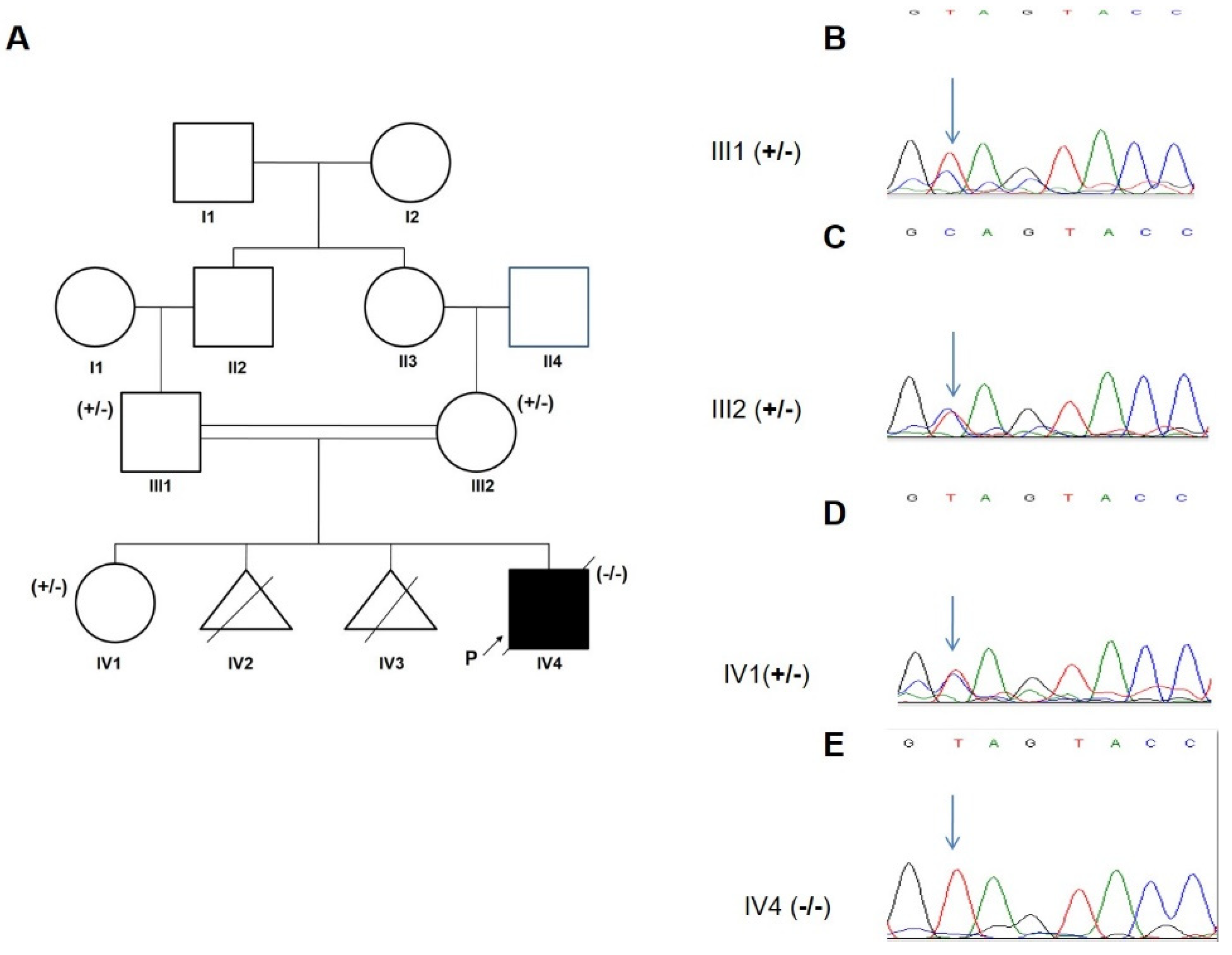 Jcm 11 06415 g003 Jcm 11 06415 g003