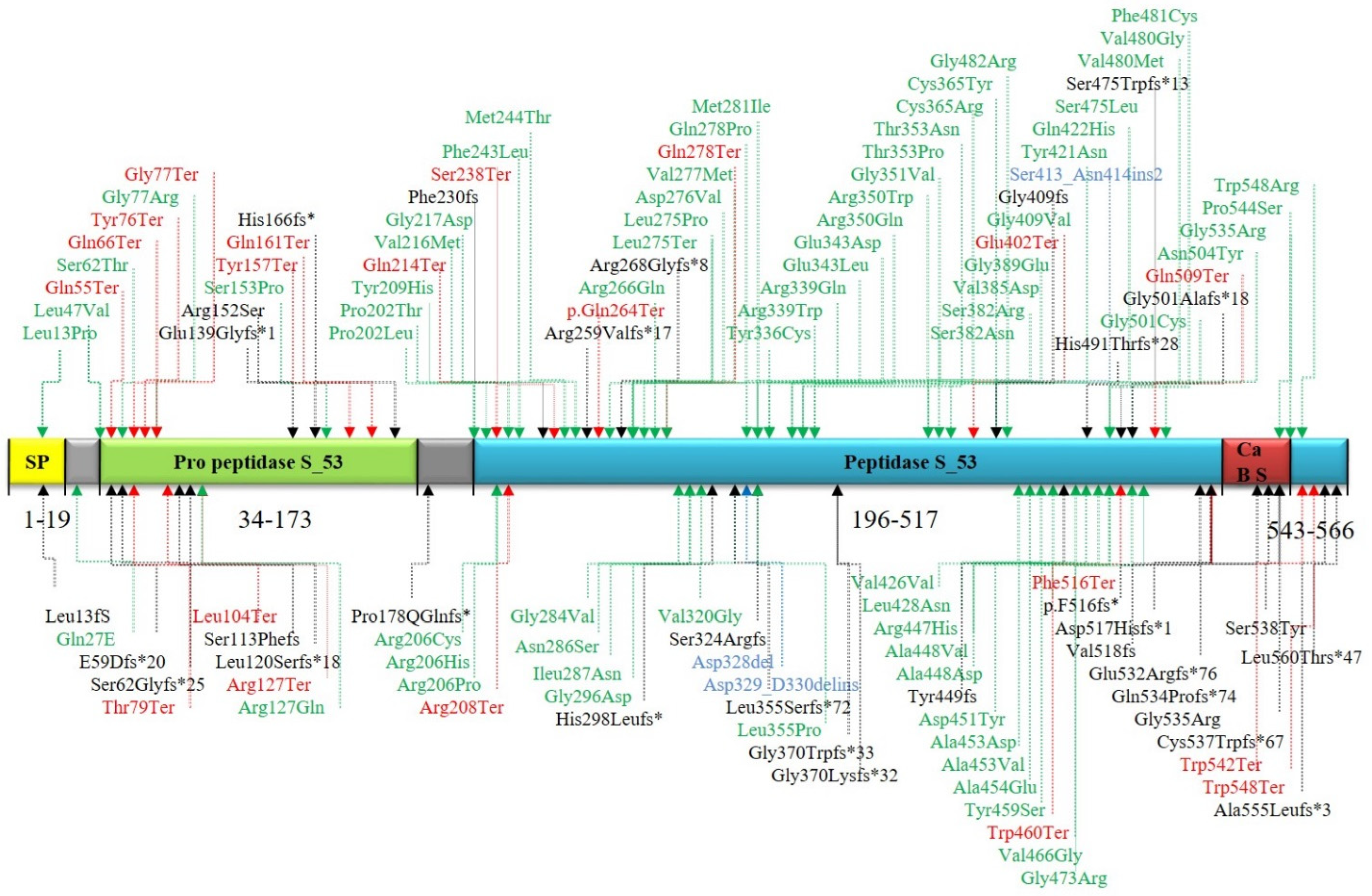 Jcm 11 06415 g005 Jcm 11 06415 g005