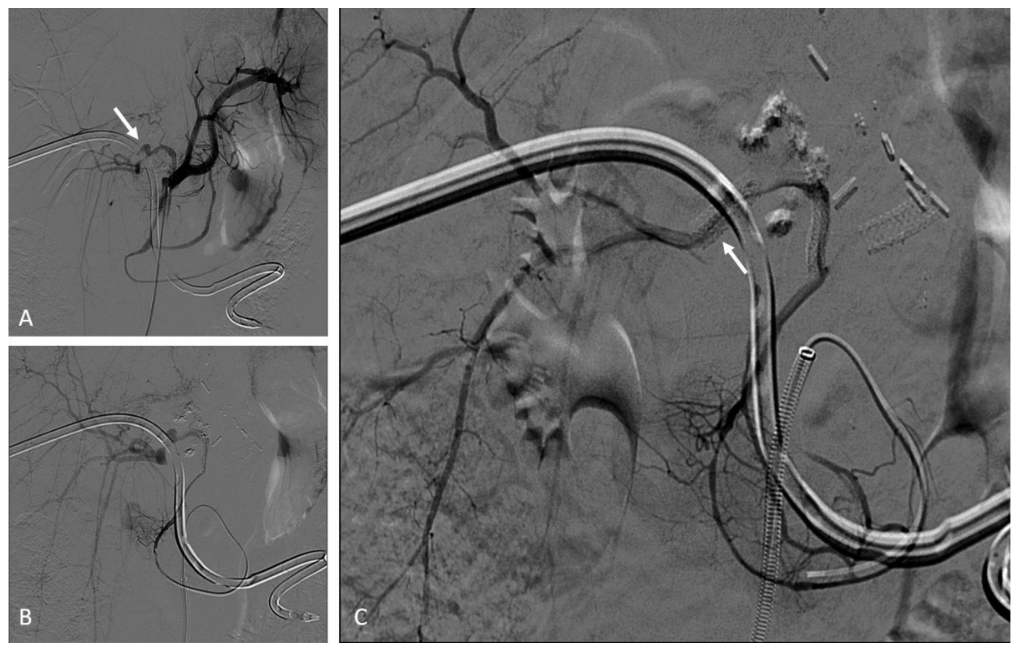 Jcm 11 06626 g008 Jcm 11 06626 g008