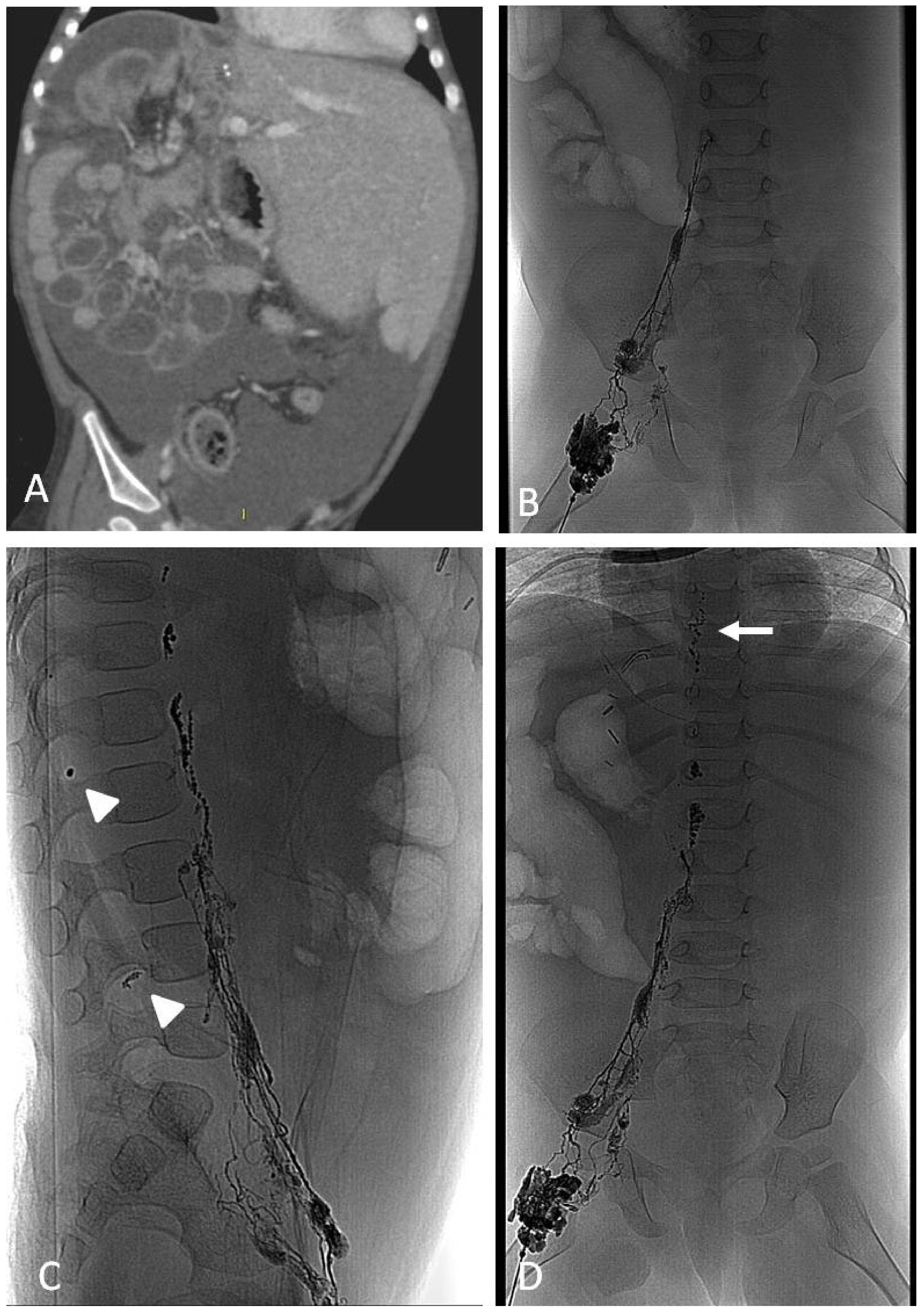 Jcm 11 06626 g009 Jcm 11 06626 g009