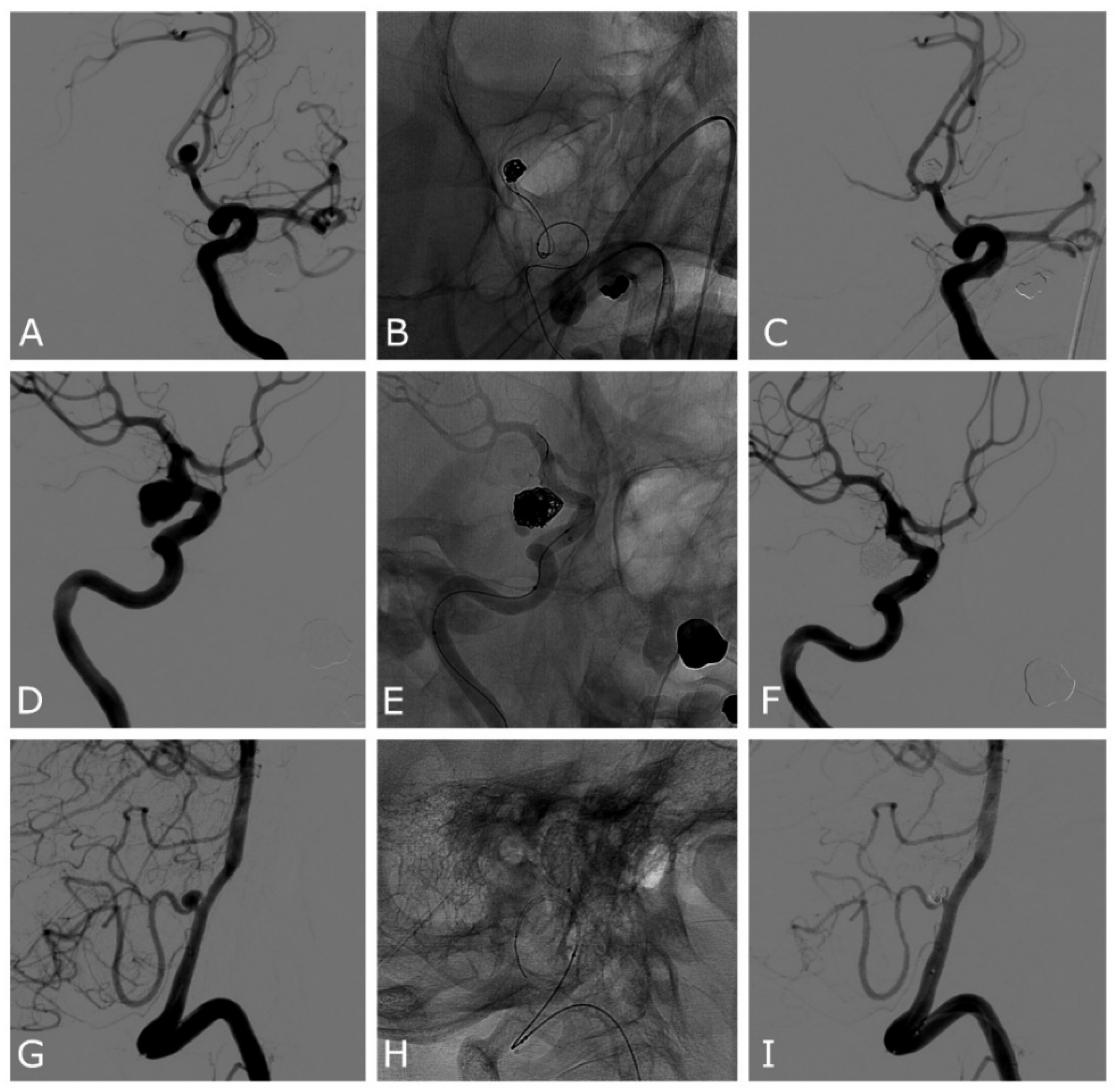 Jcm 11 06650 g001 Jcm 11 06650 g001