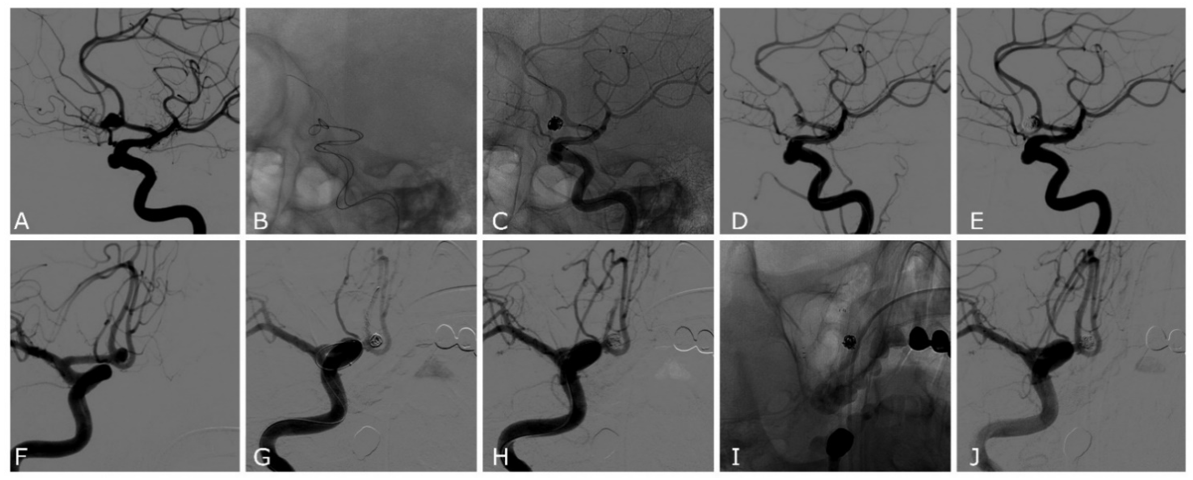 Jcm 11 06650 g002 Jcm 11 06650 g002