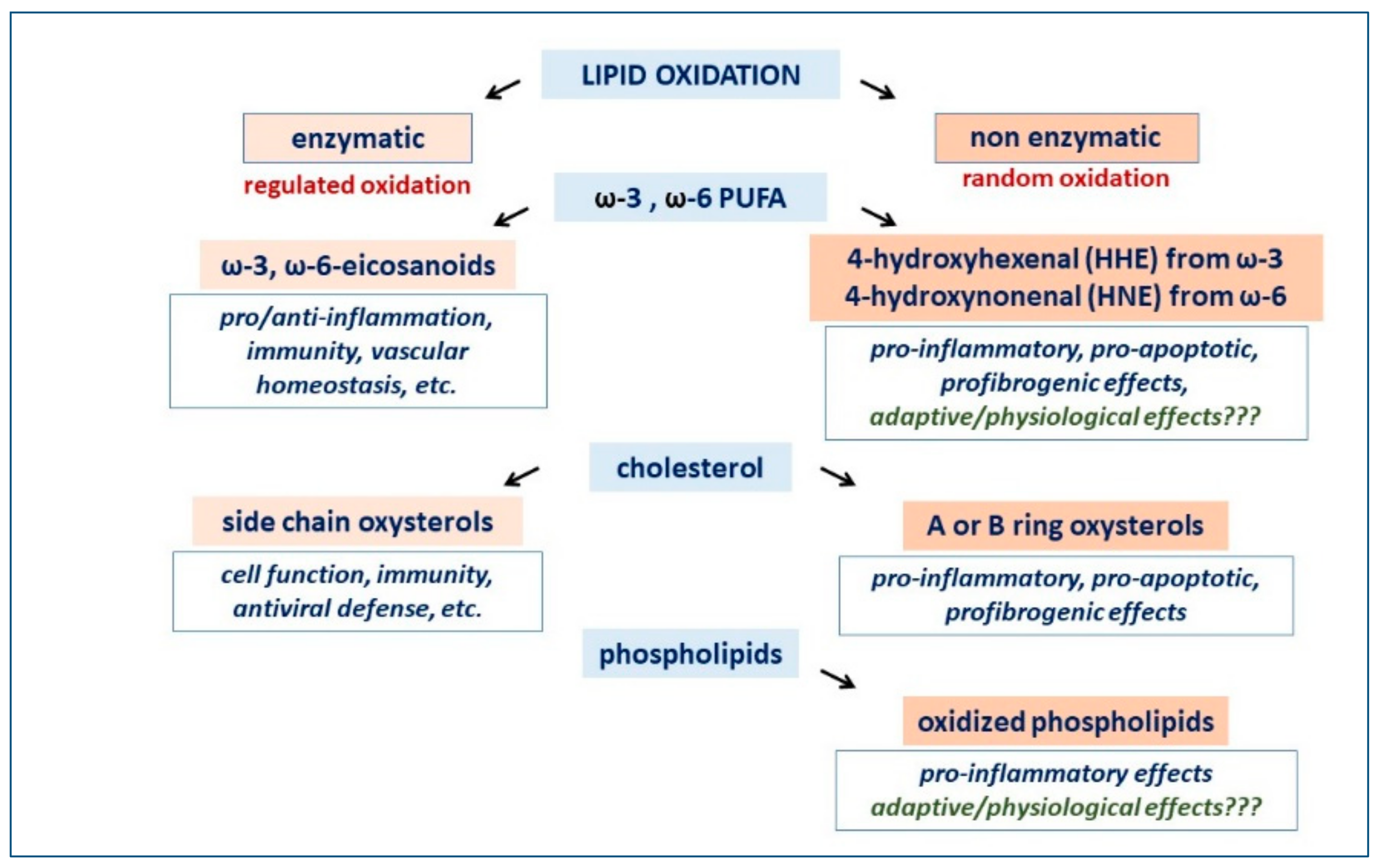 Jcm 11 06652 g002 Jcm 11 06652 g002