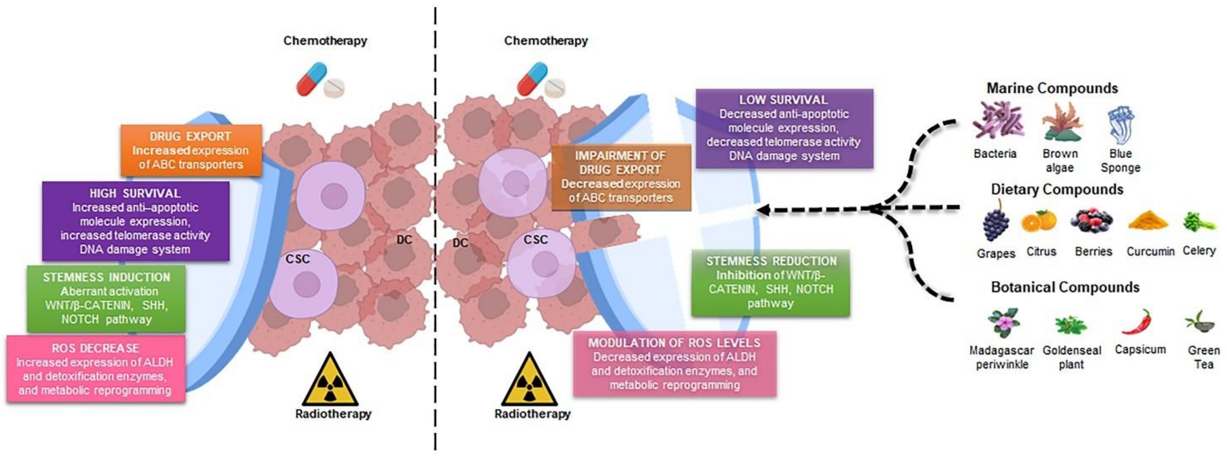Jcm 11 06996 g001 Jcm 11 06996 g001
