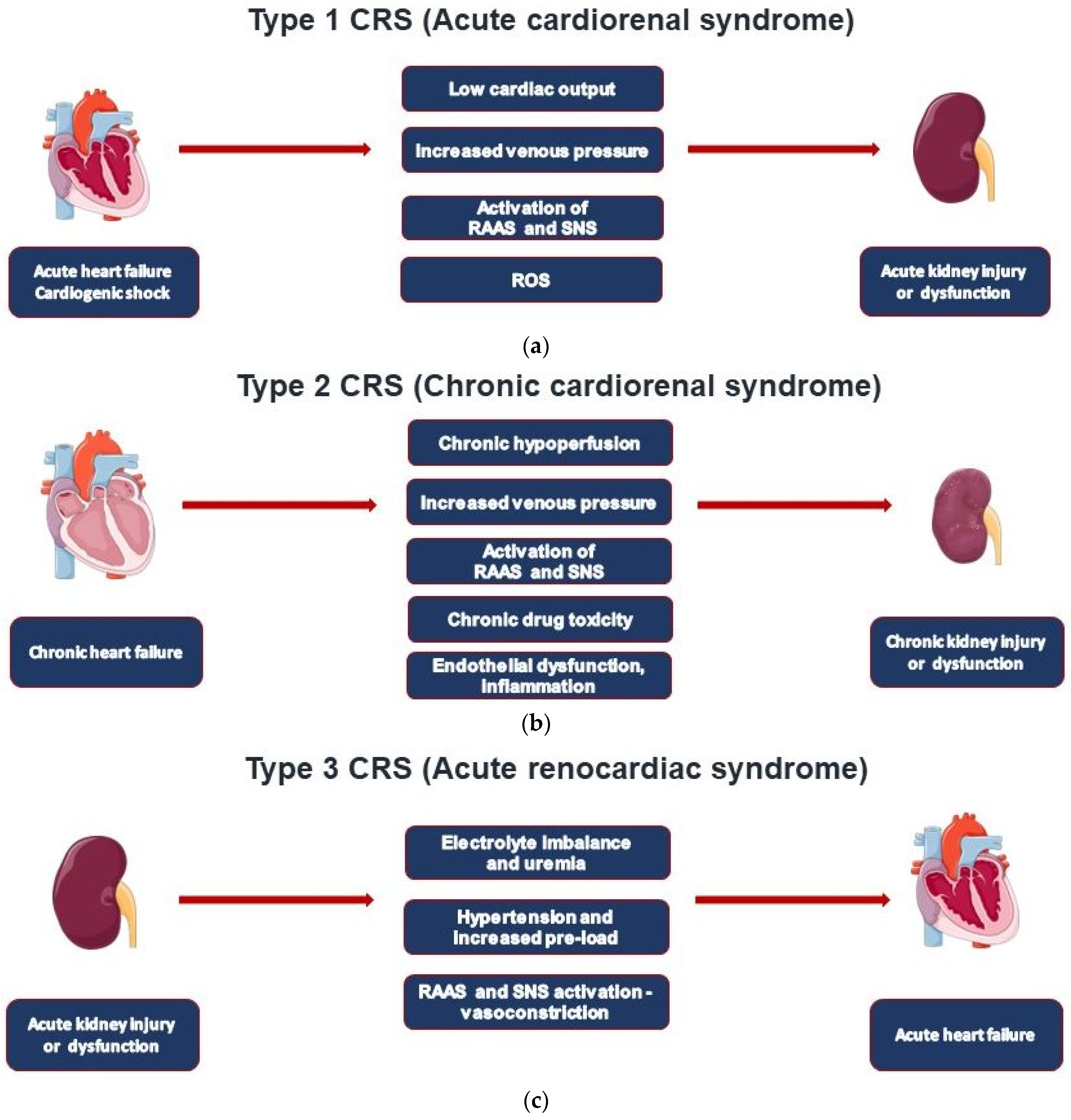 JCM Free Full Text Heart Failure and Cardiorenal Syndrome A