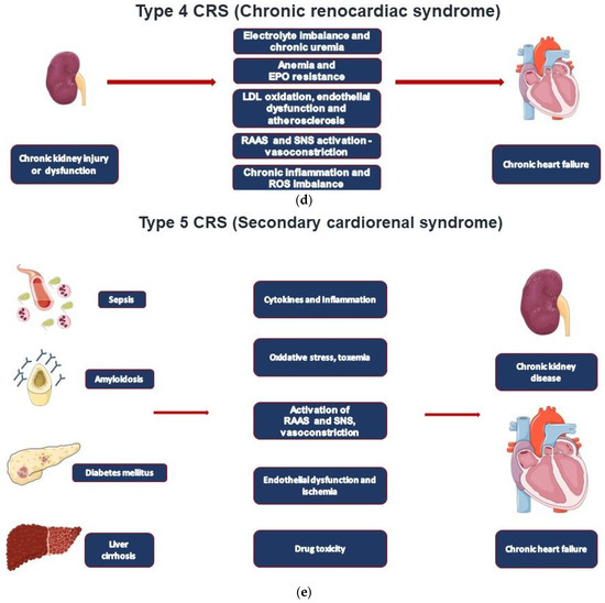 JCM | Free Full-Text | Heart Failure and Cardiorenal Syndrome: A ...