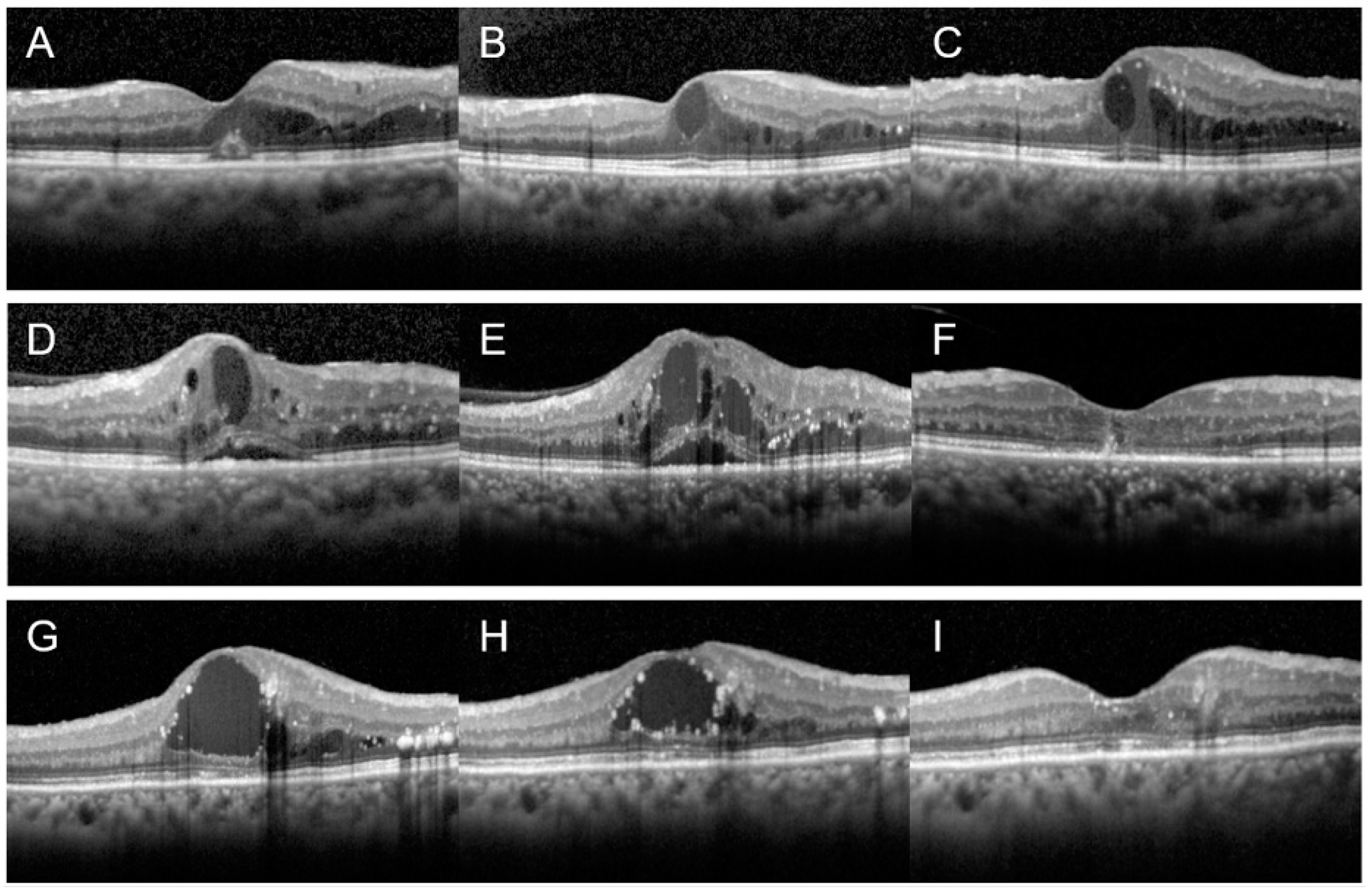 Jcm 11 07047 g002 Jcm 11 07047 g002