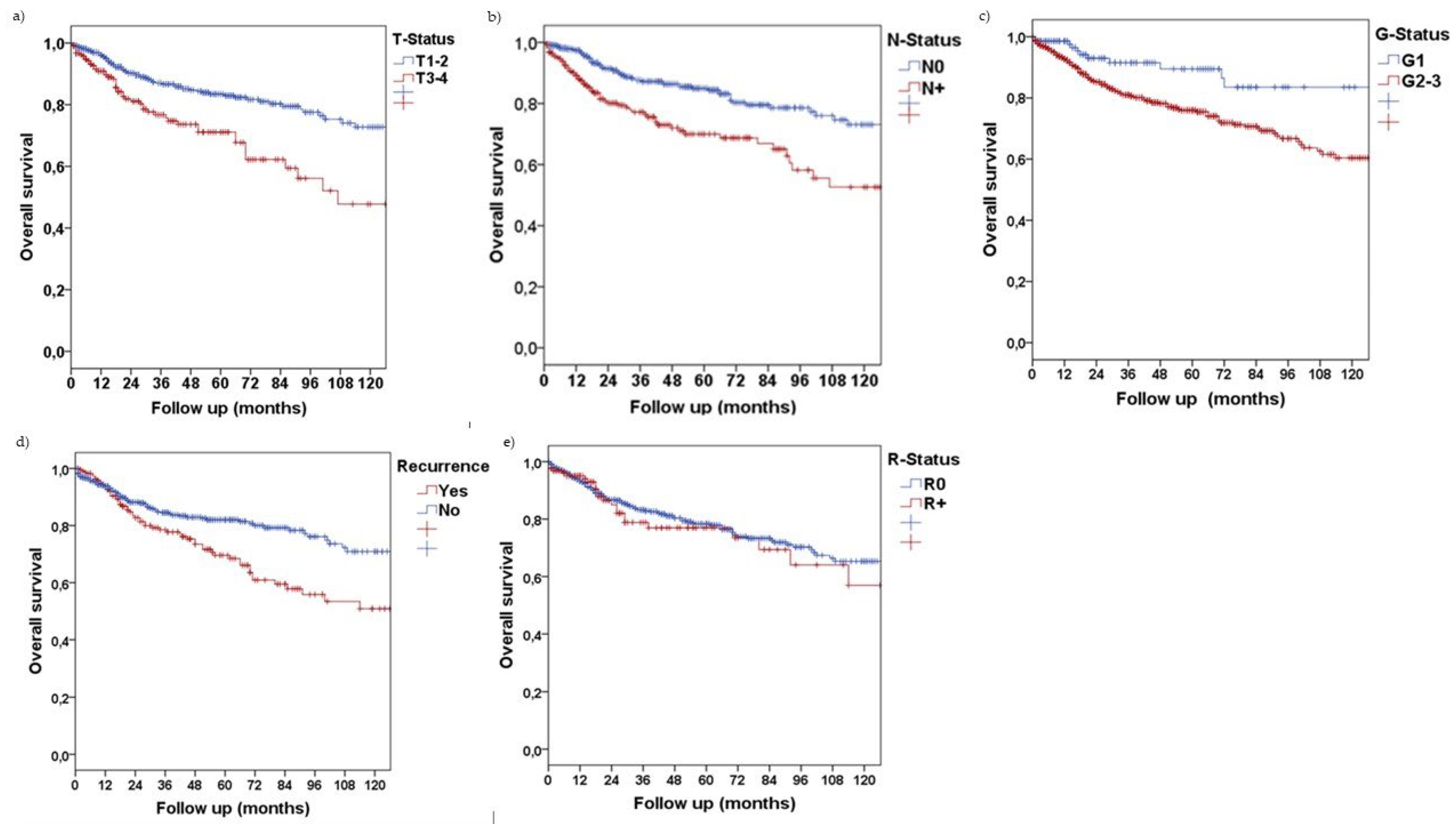 Jcm 11 07061 g002 Jcm 11 07061 g002