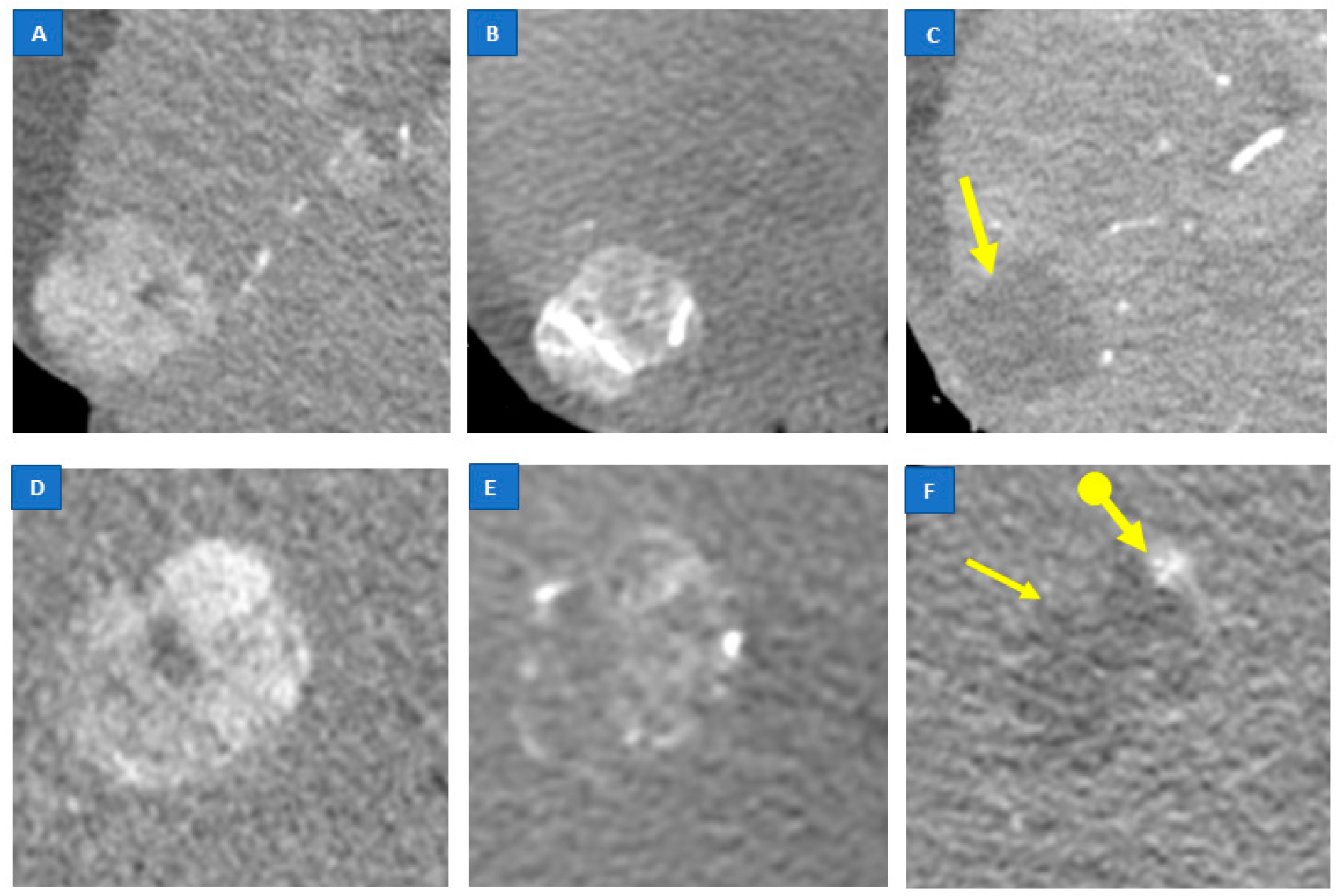 Jcm 11 07089 g003 Jcm 11 07089 g003