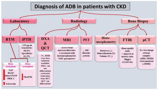 Bone markers in low and high turnover bone disease in CKD